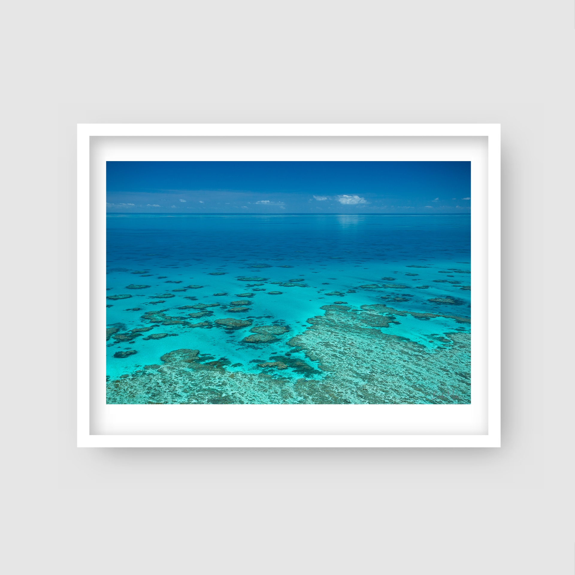 Glass - Great Barrier Reef Print