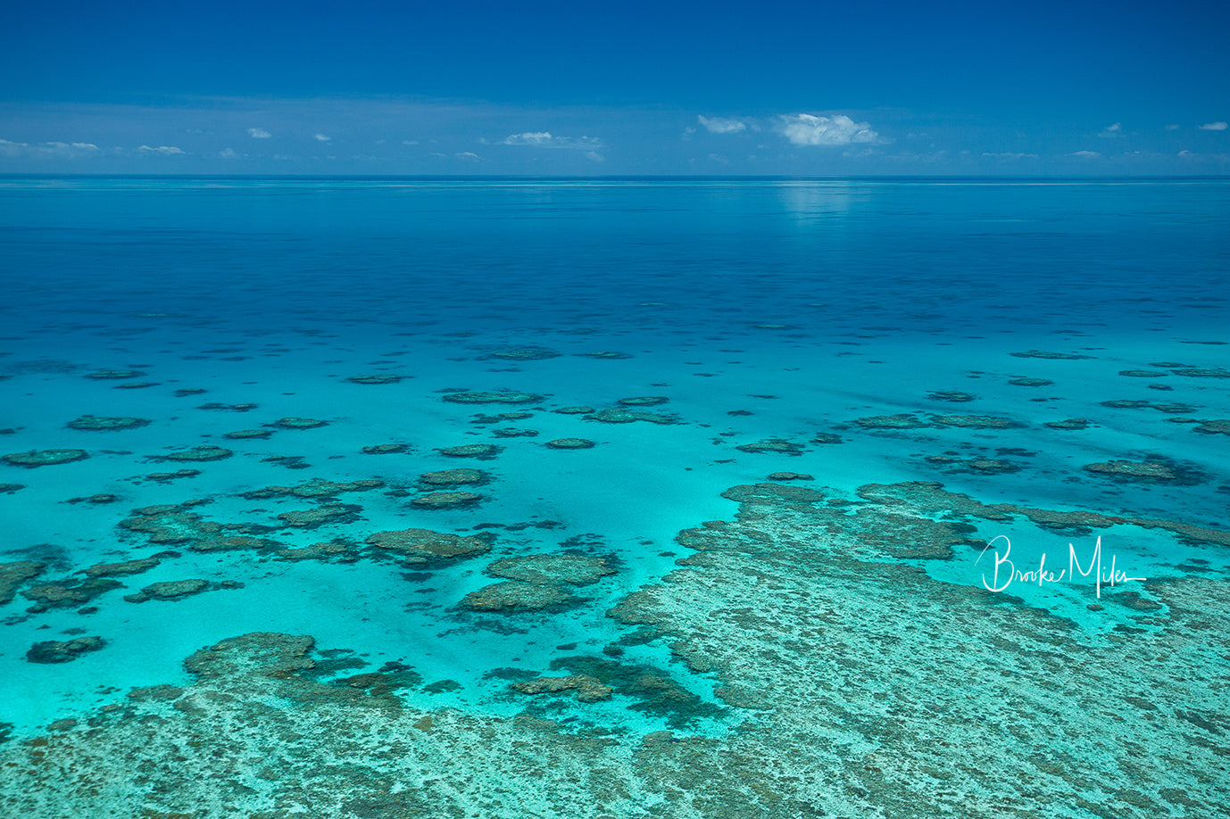 Glass - Great Barrier Reef Print