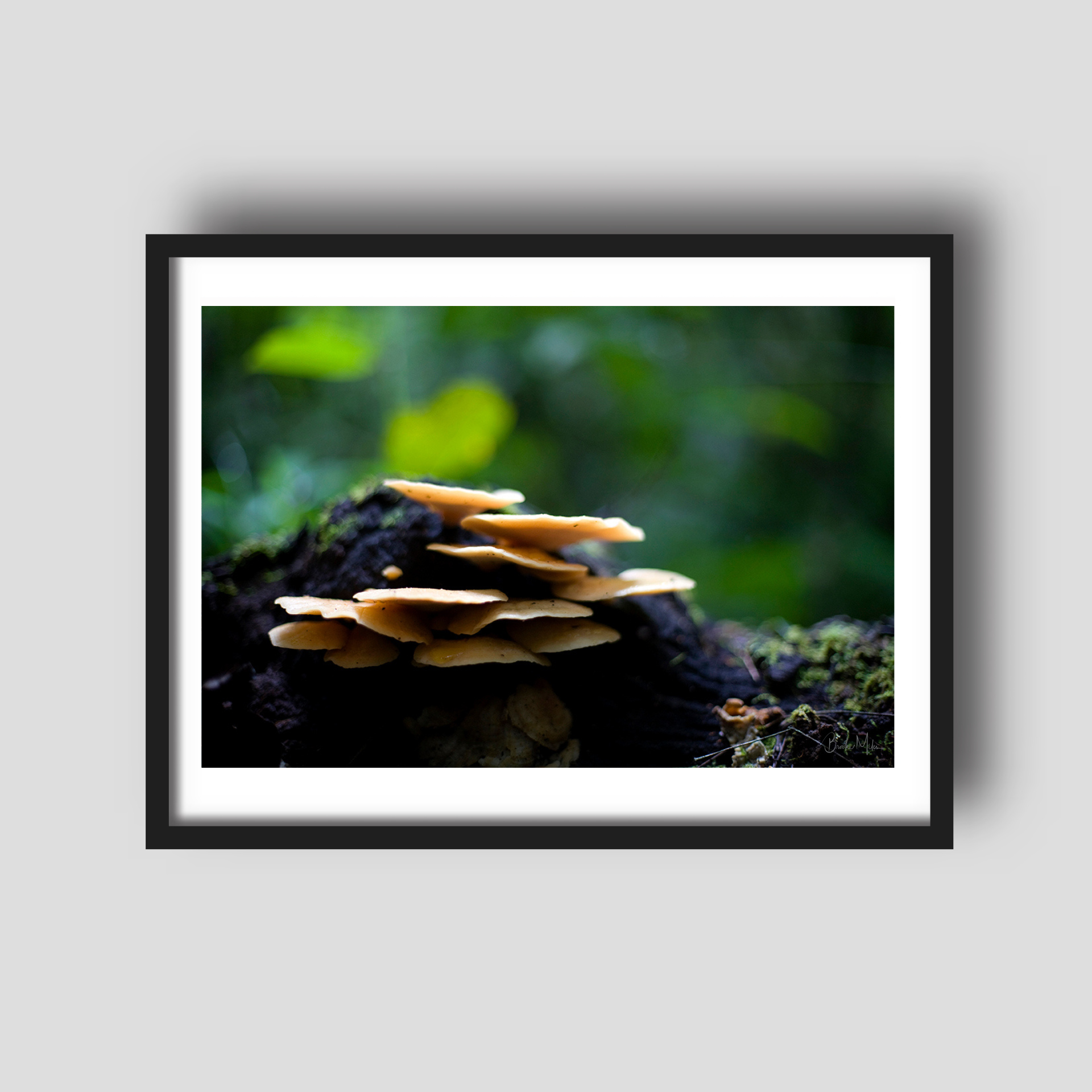 Ground Keeper - Rainforest Print