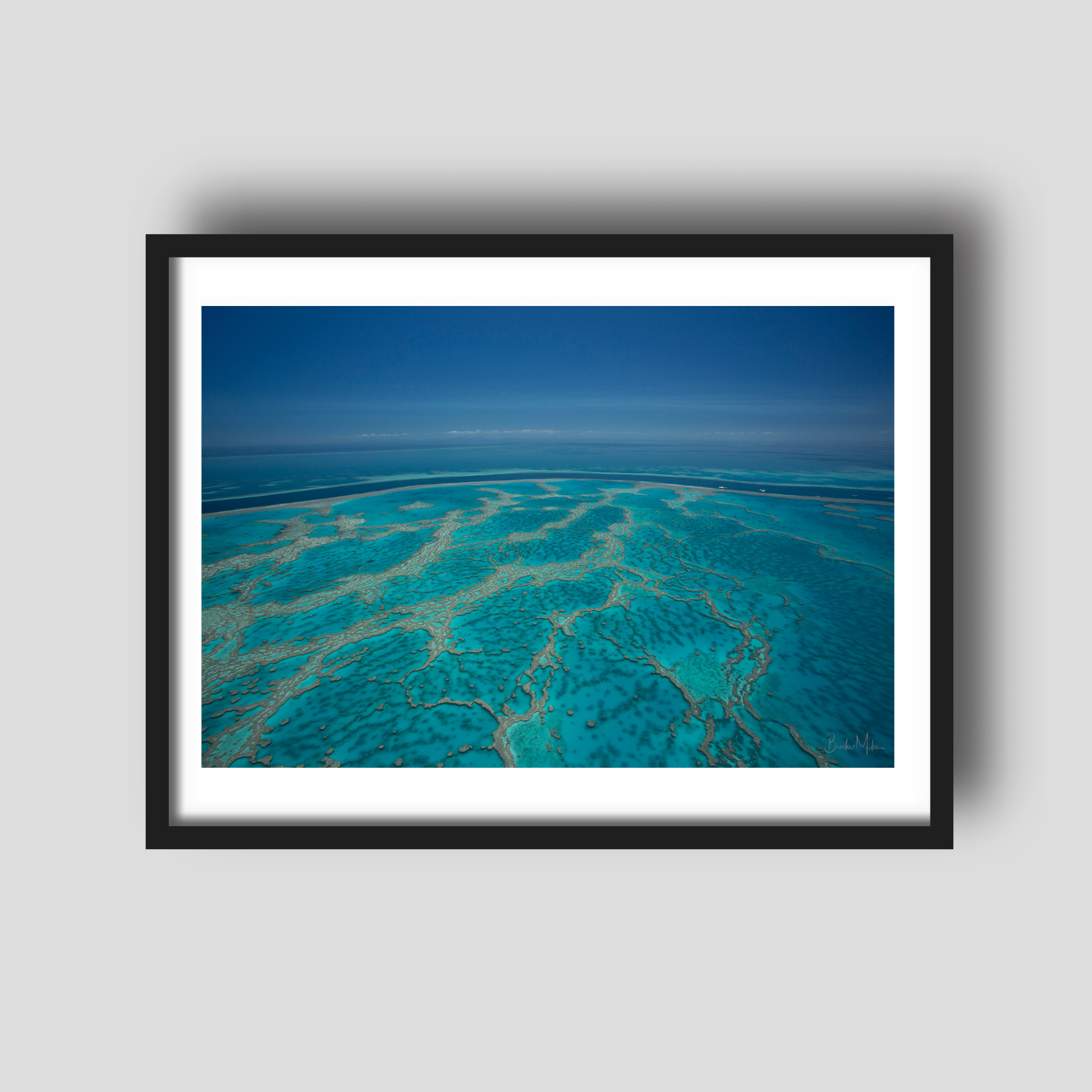 Hardy's Veins - Great Barrier Reef Print