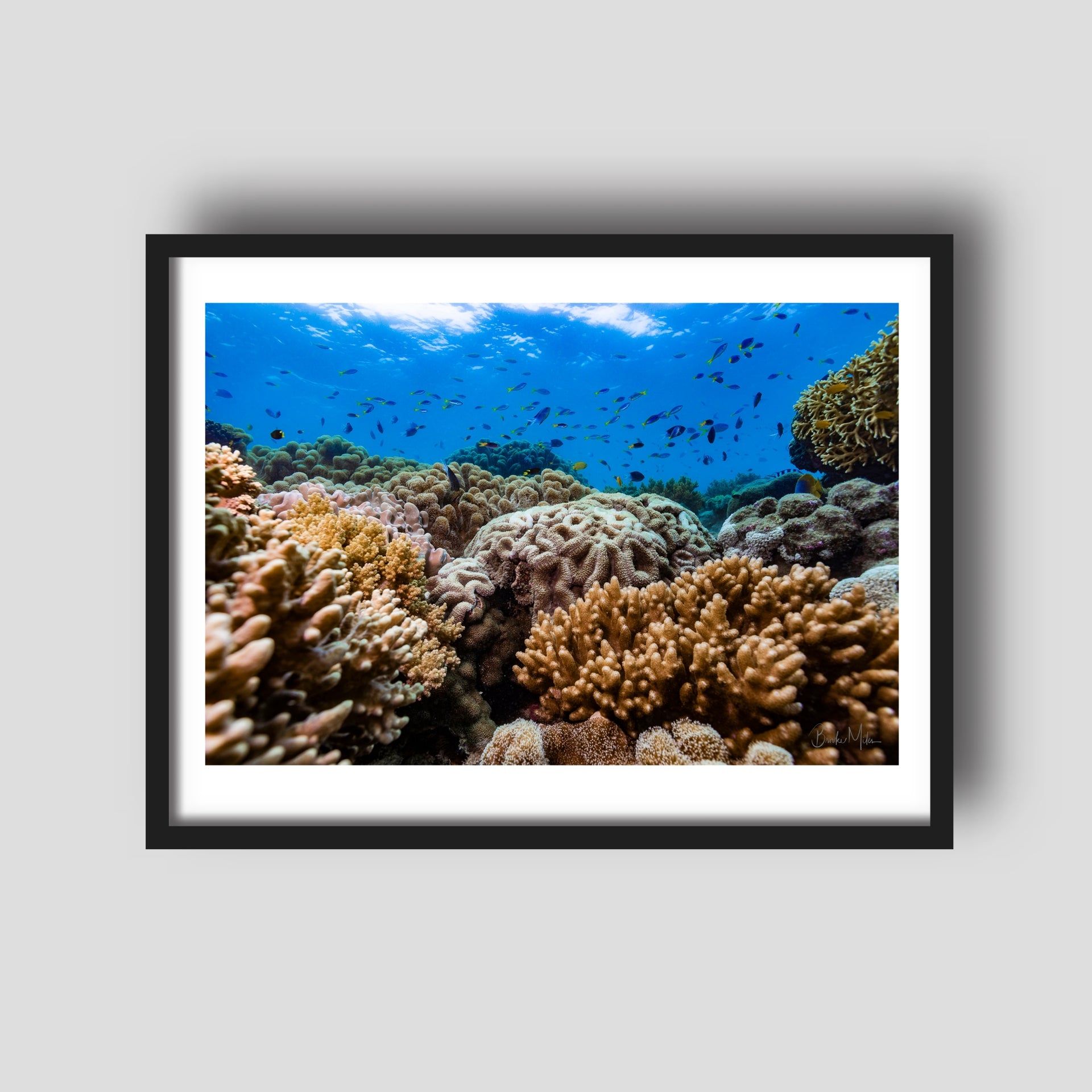 Hazel's Garden - Underwater Reef Print