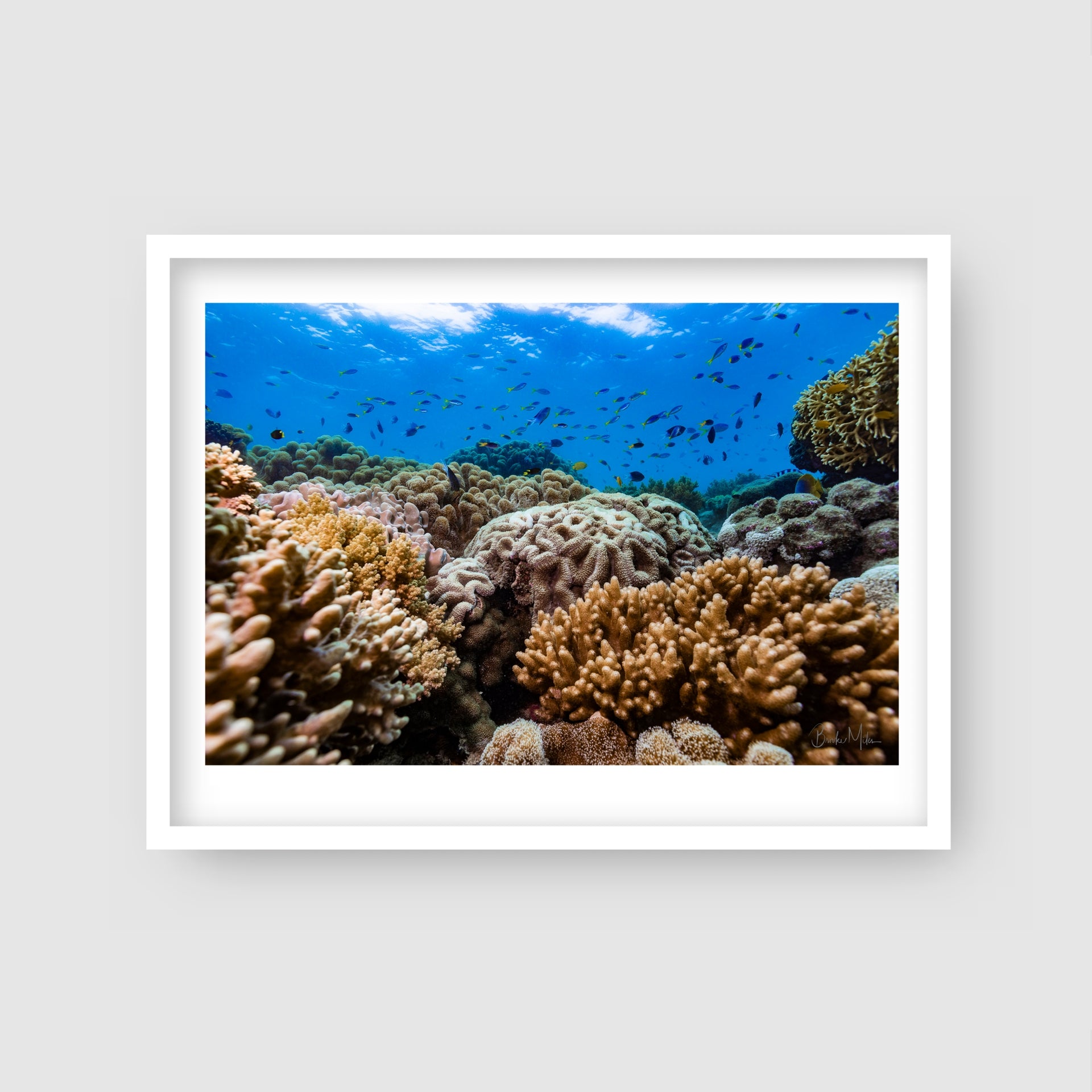 Hazel's Garden - Underwater Reef Print