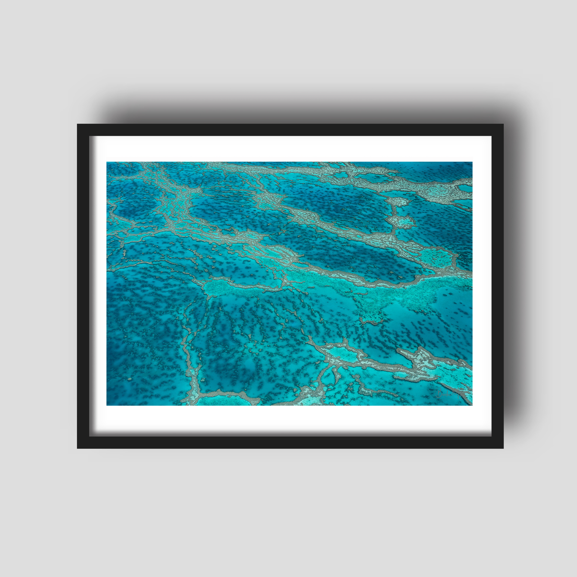 Heart Beat - Great Barrier Reef Print