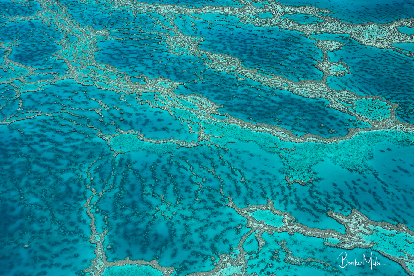Heart Beat - Great Barrier Reef Print