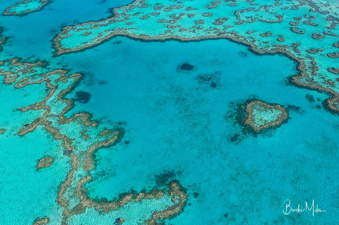 Heart's Home - Great Barrier Reef Print