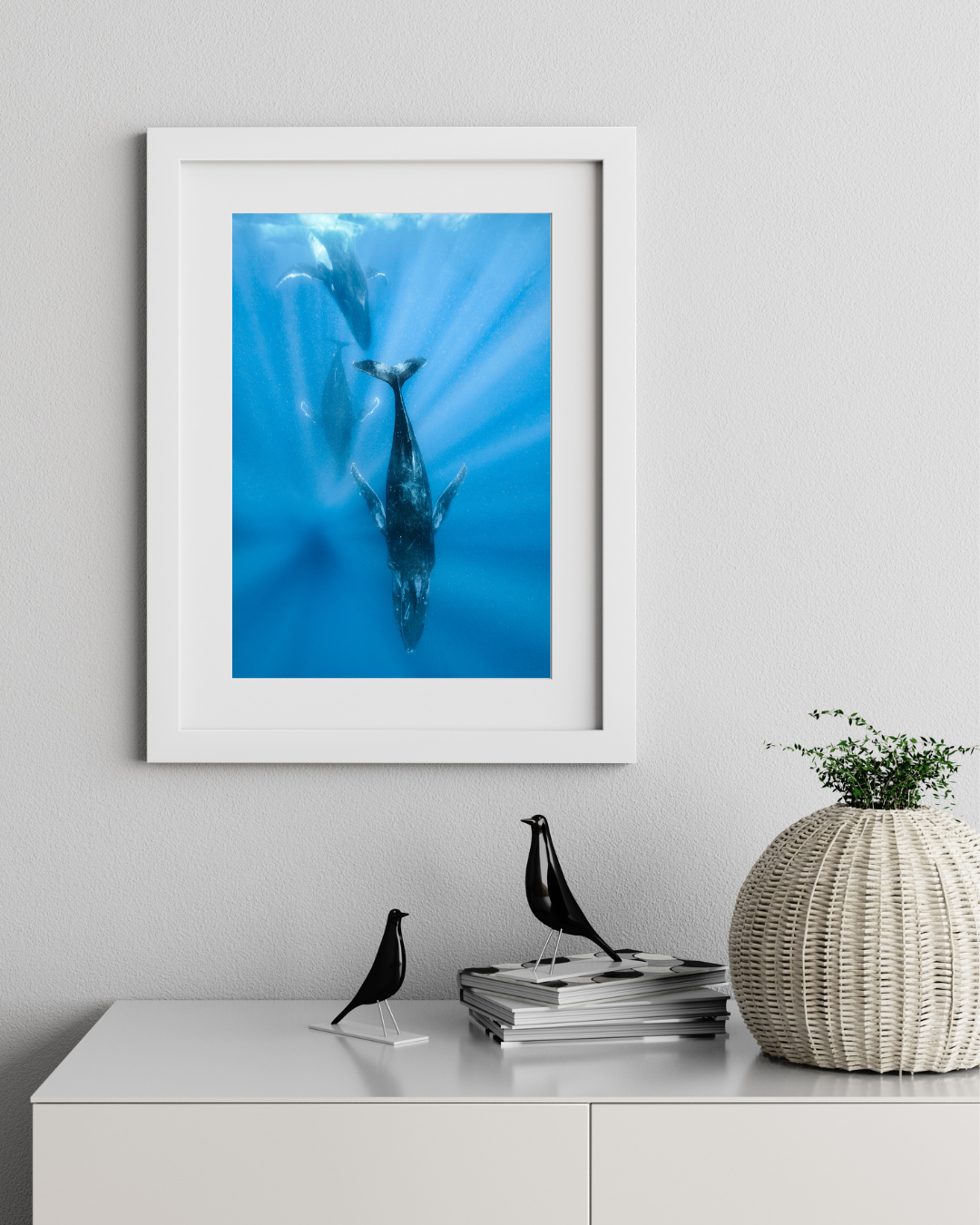 Heat Run - Humpback Whale Print