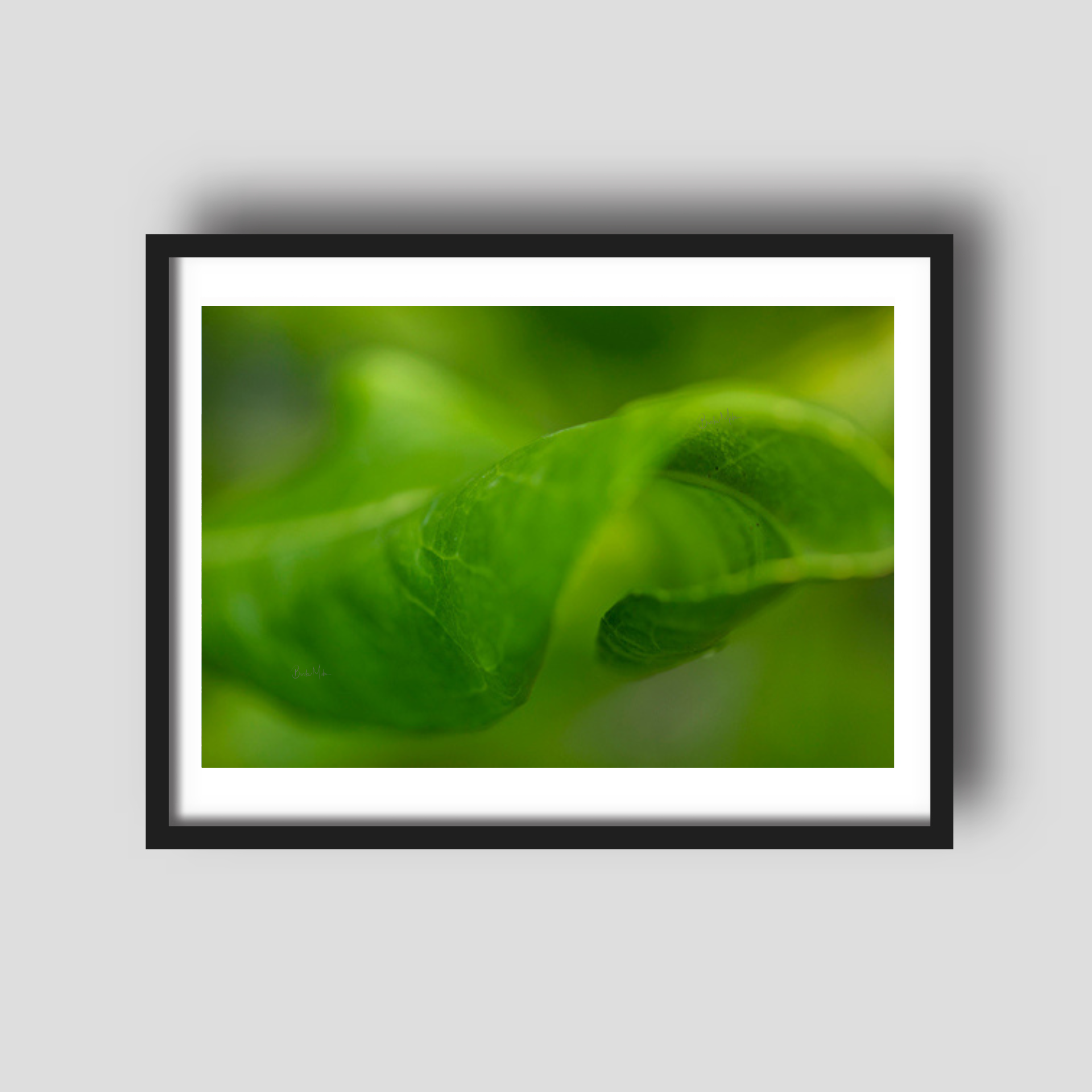 Inside the Leaf - Nature Print