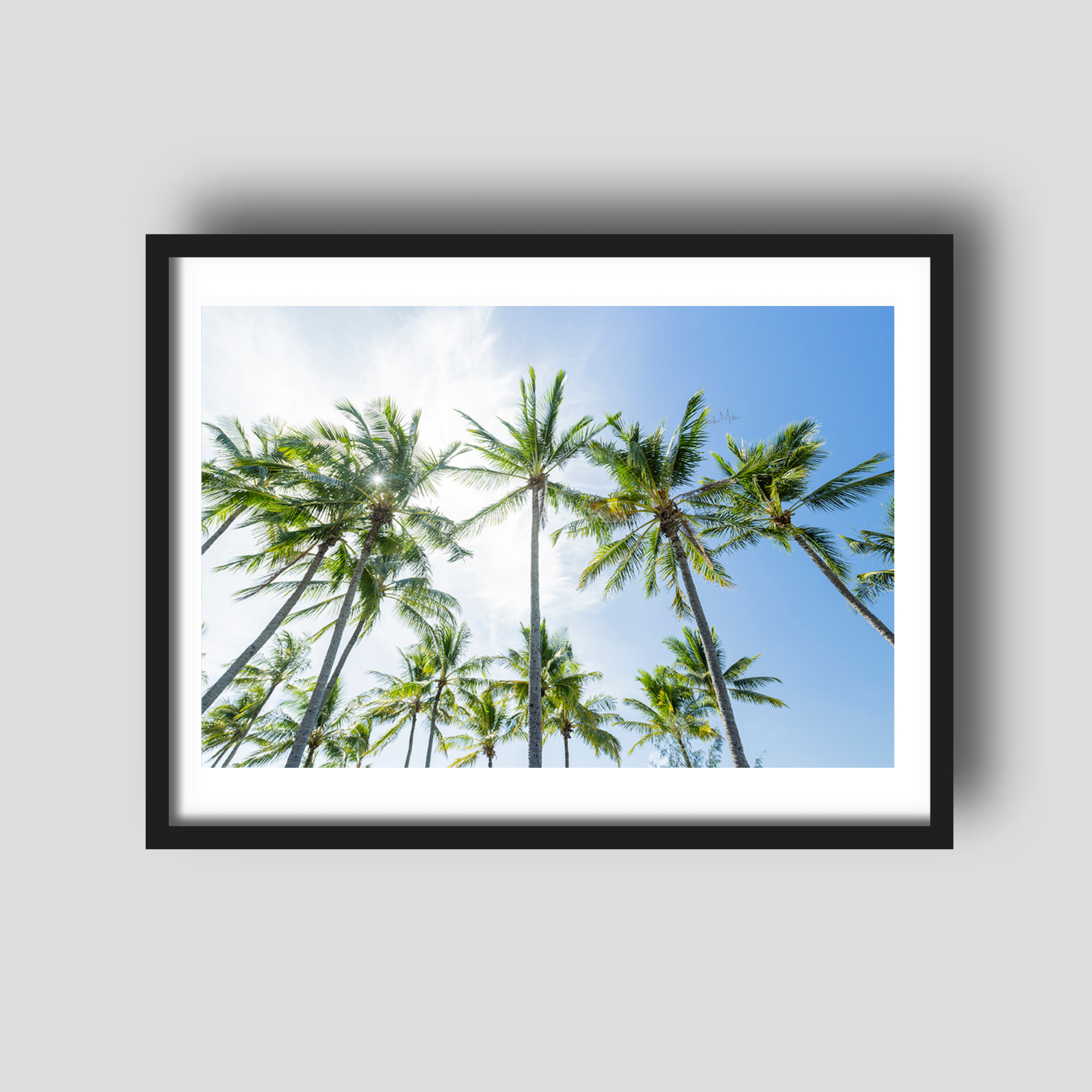 Island Glow - Palm Tree Print