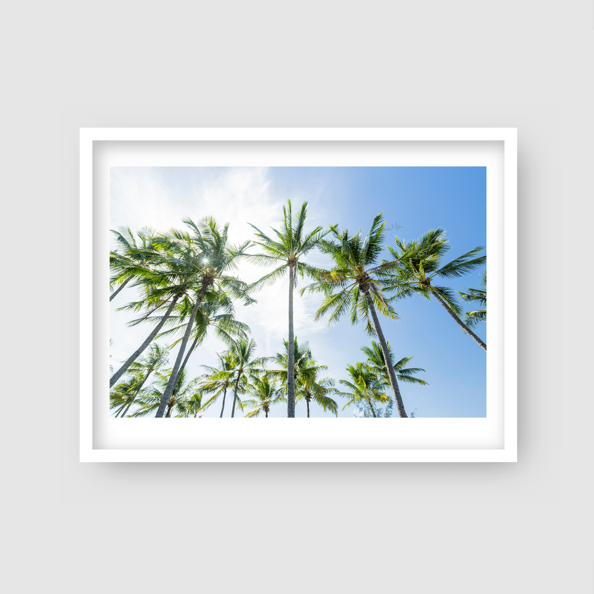 Island Glow - Palm Tree Print