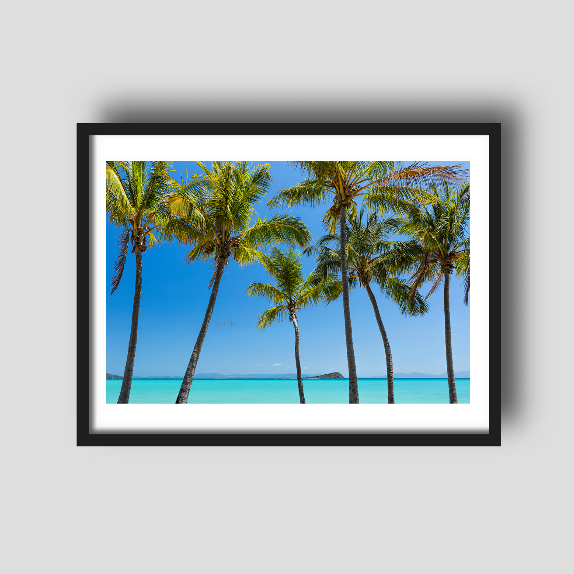 Island Oasis - Island Palm Tree Print