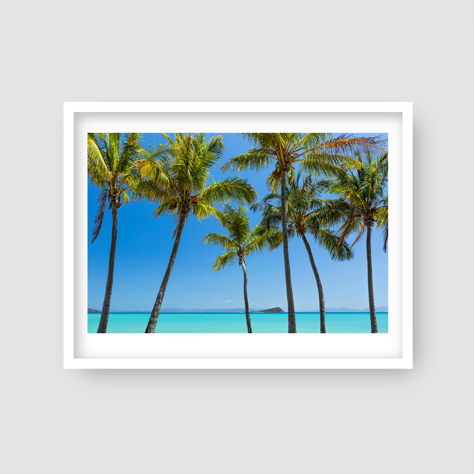 Island Oasis - Island Palm Tree Print