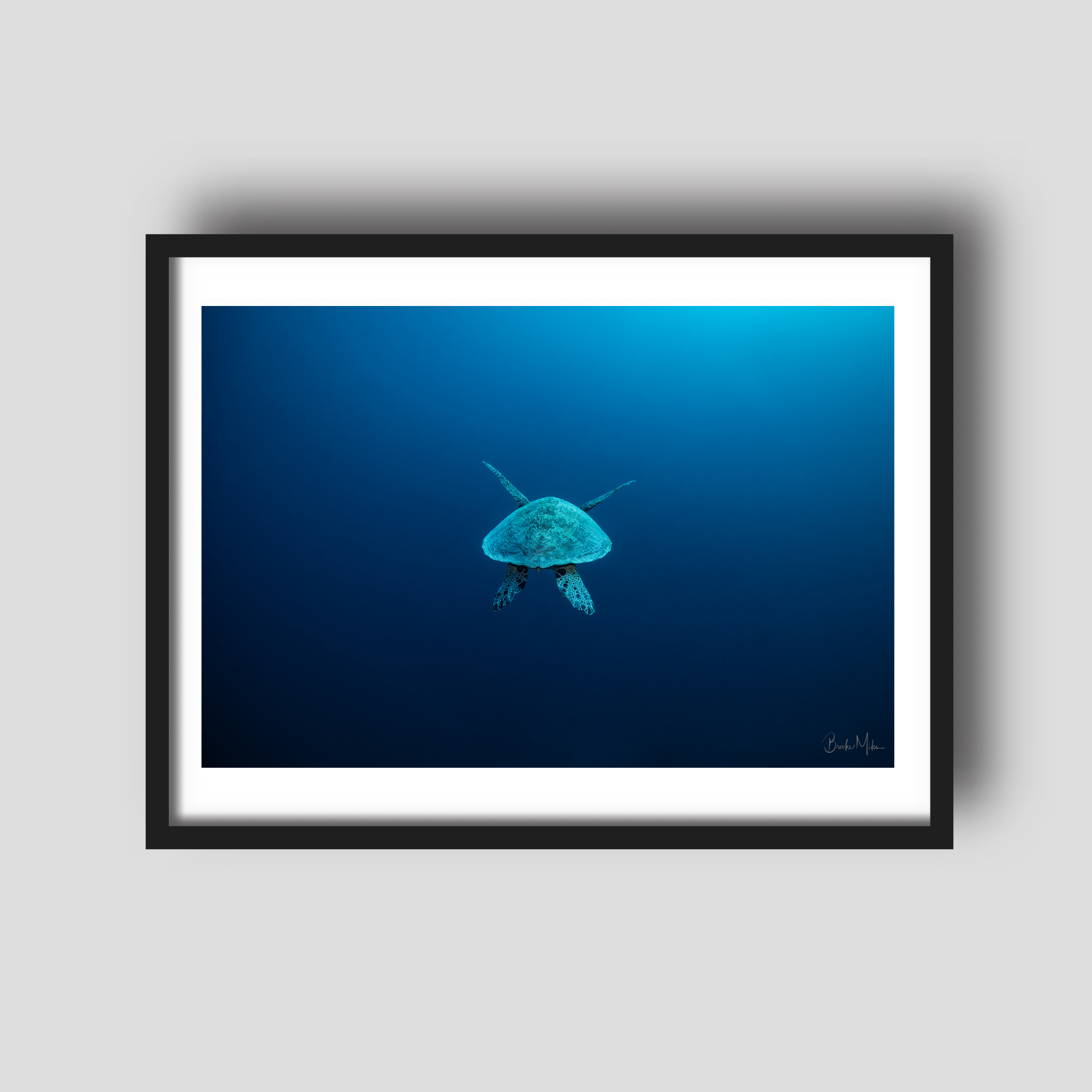 Later - Turtle Print