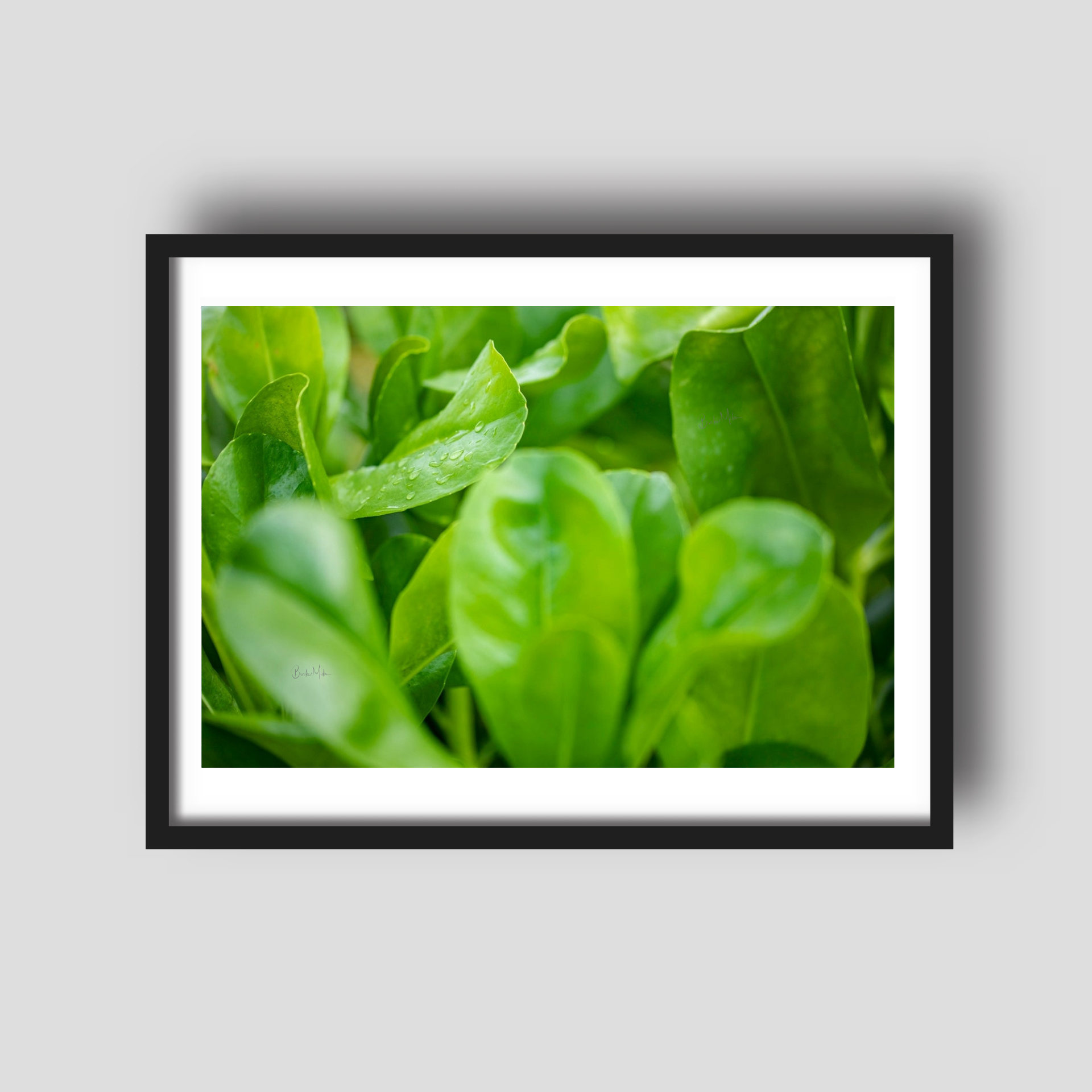 Leaf Abode - Nature Print