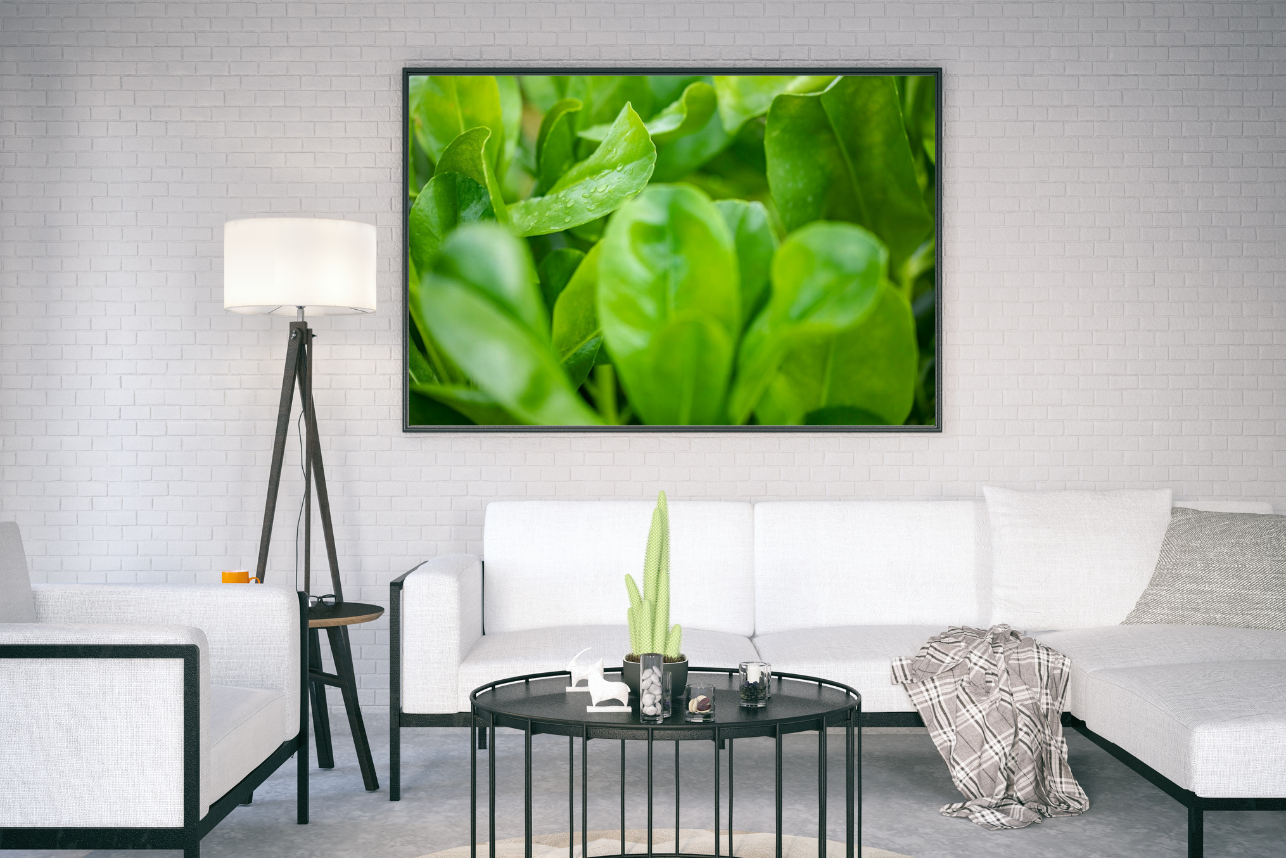 Leaf Abode - Nature Print