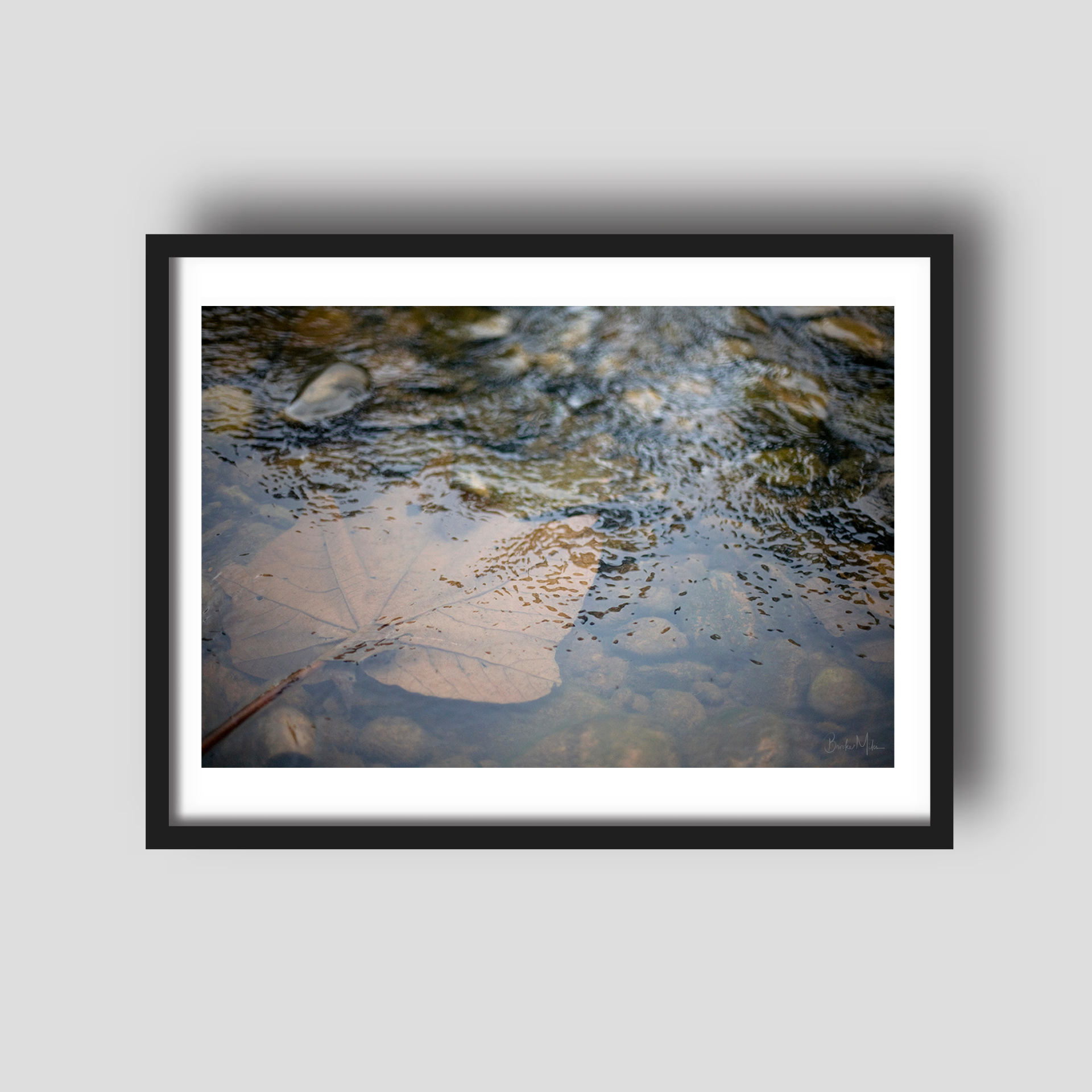 Leaf - Rainforest Print