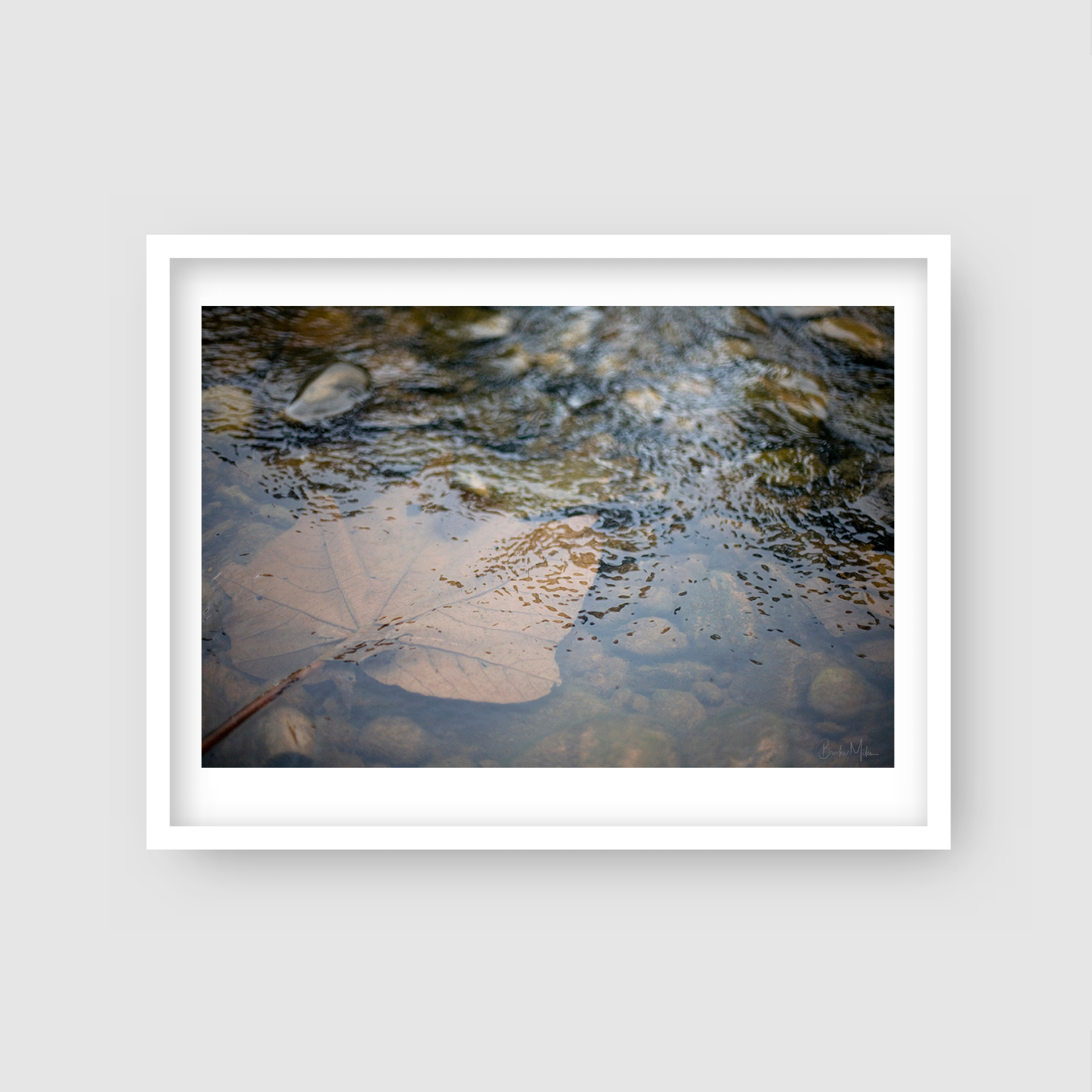 Leaf - Rainforest Print