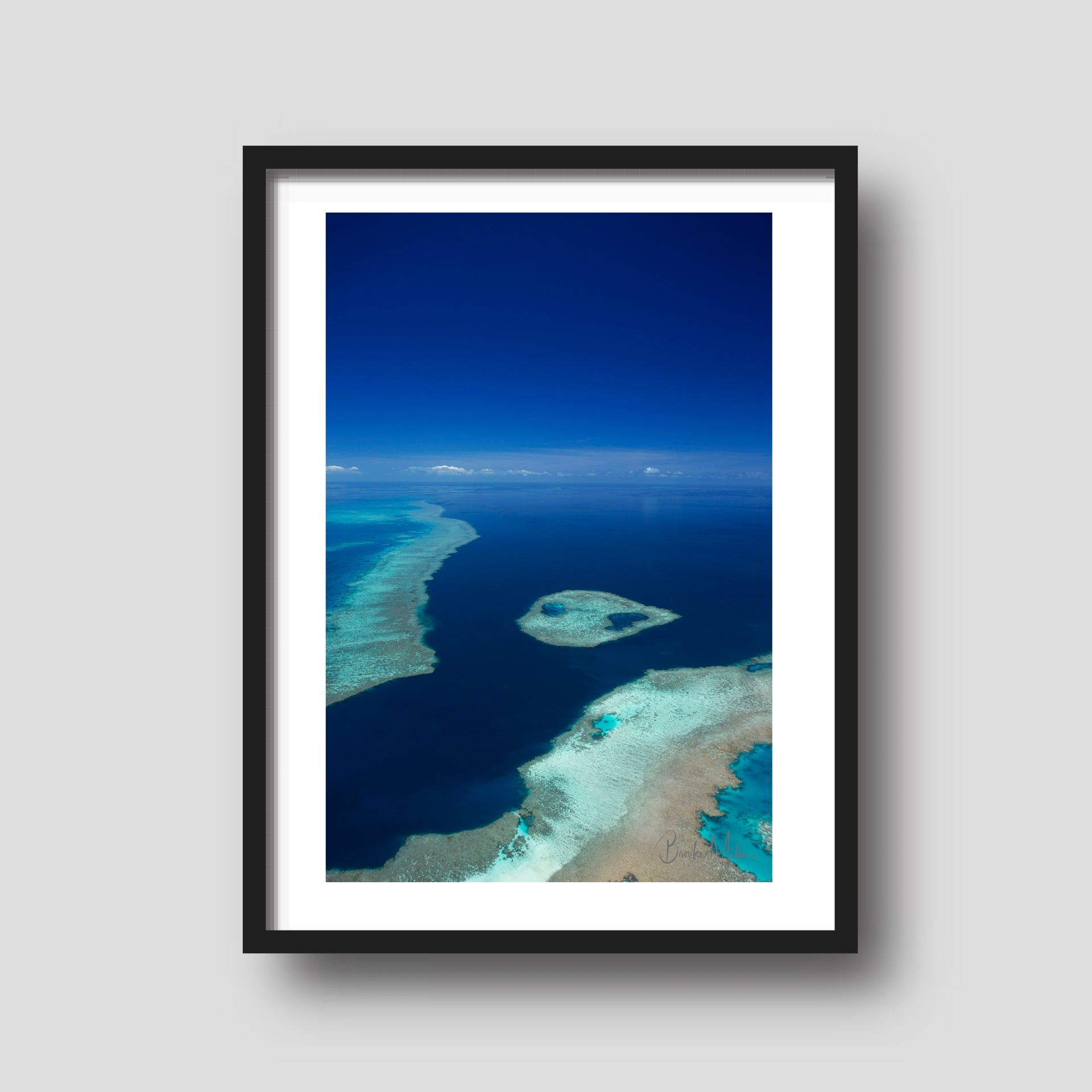 Lilly Pad - Great Barrier Reef Print
