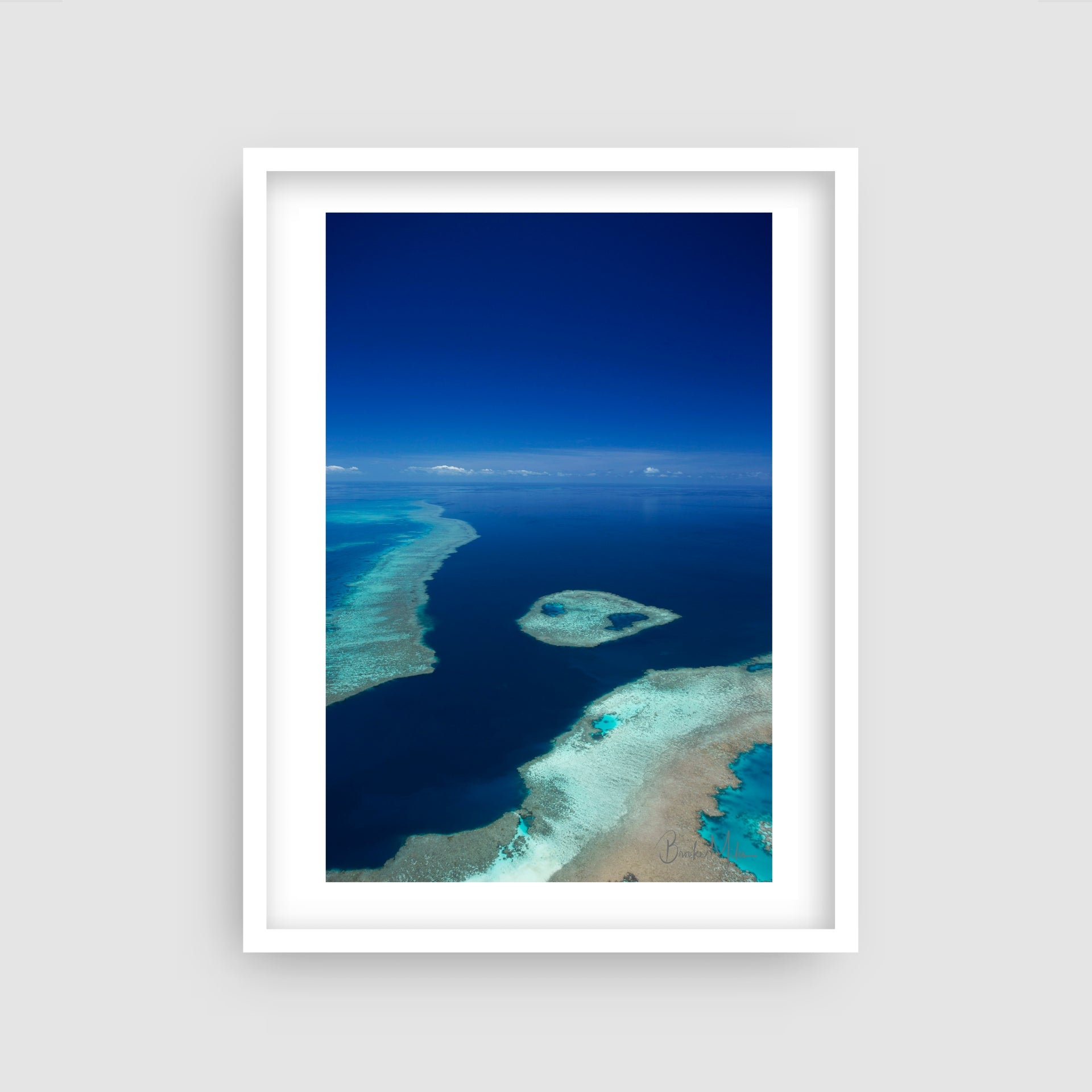 Lilly Pad - Great Barrier Reef Print