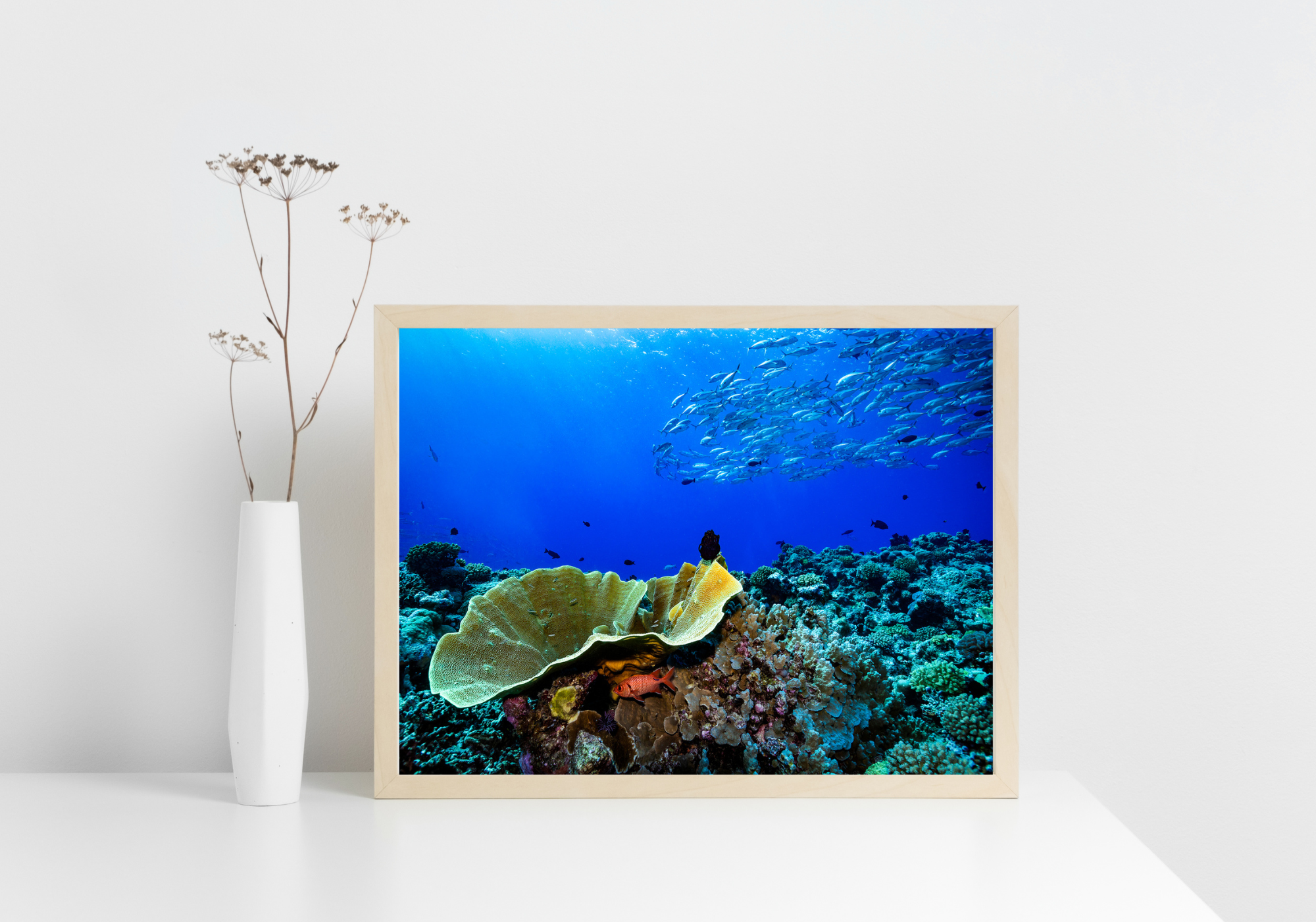 Little Red - Underwater Reef Print