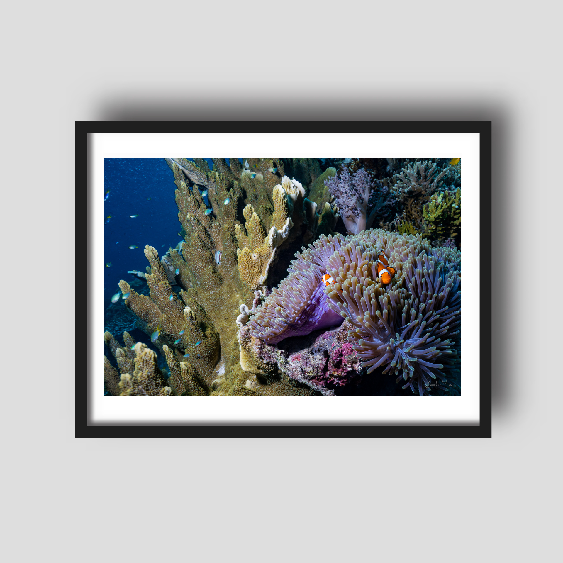Magnifica - Underwater Reef Print