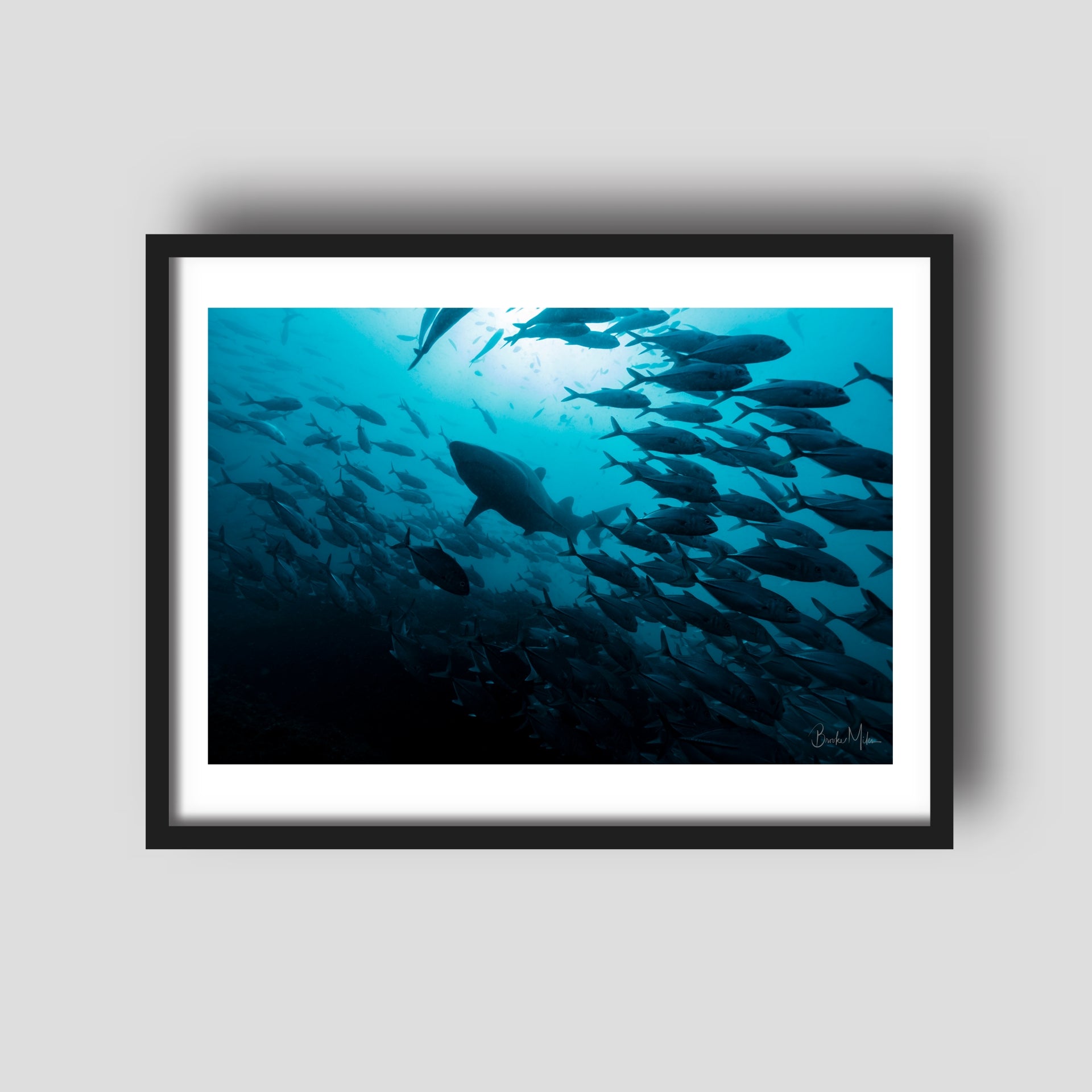 Make Way - Underwater Fish Print