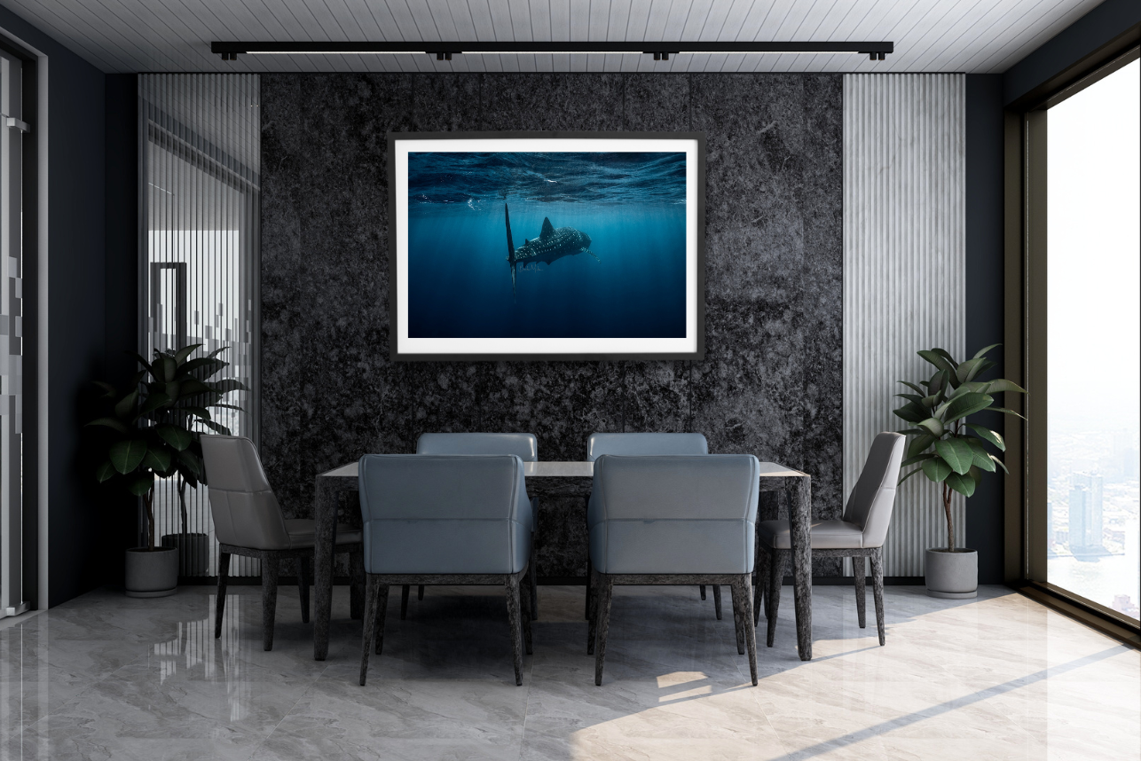 Mandu - Whale Shark Print