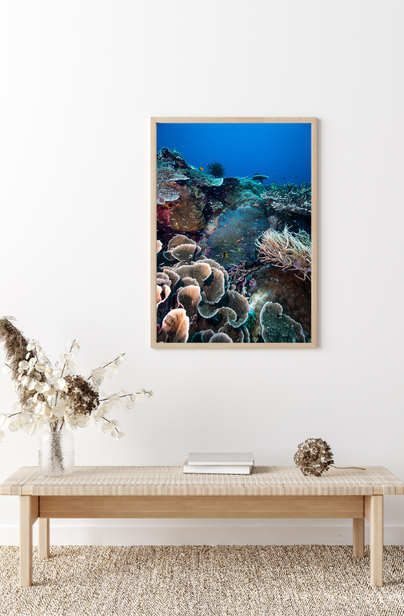 Melissa's Garden - Underwater Reef Print
