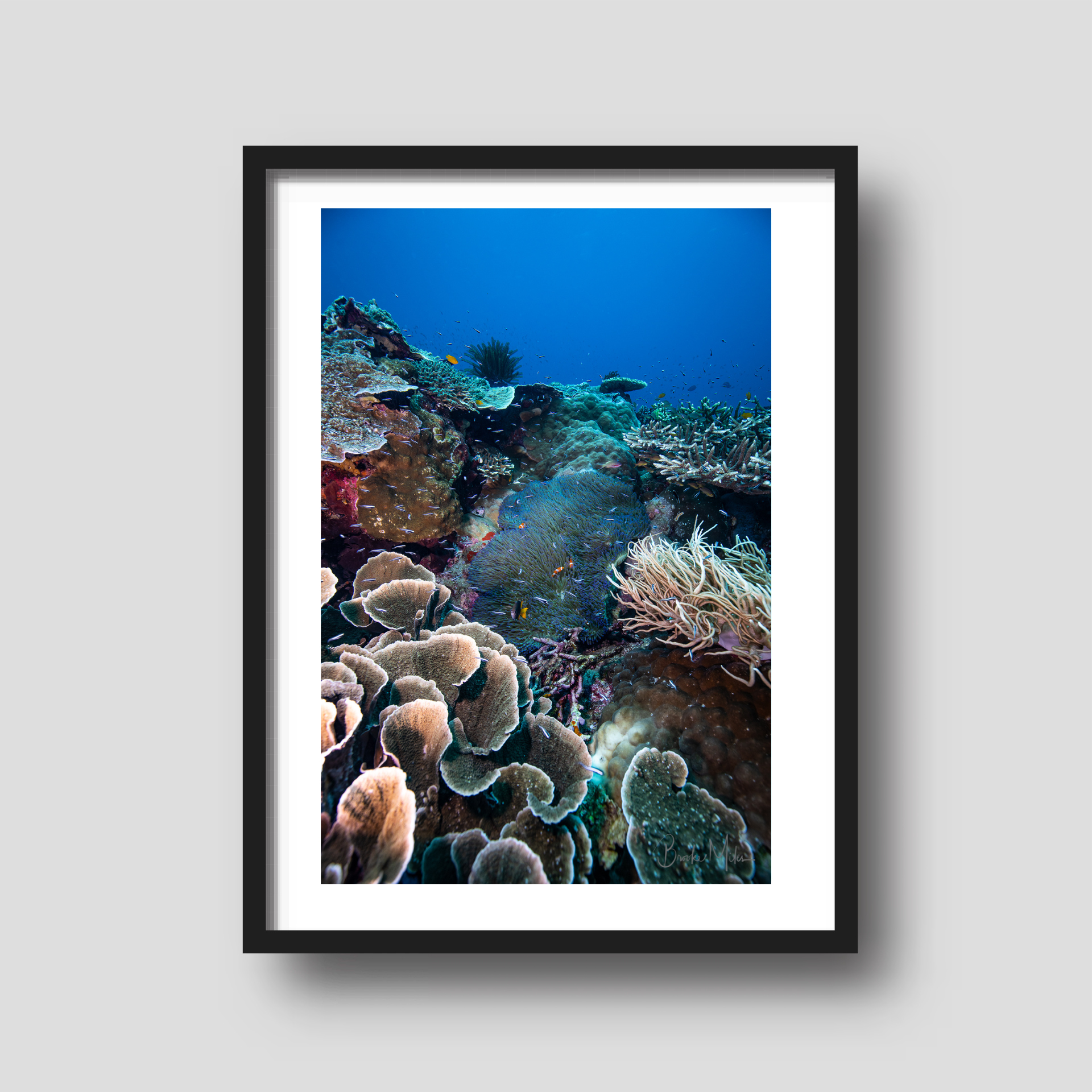 Melissa's Garden - Underwater Reef Print