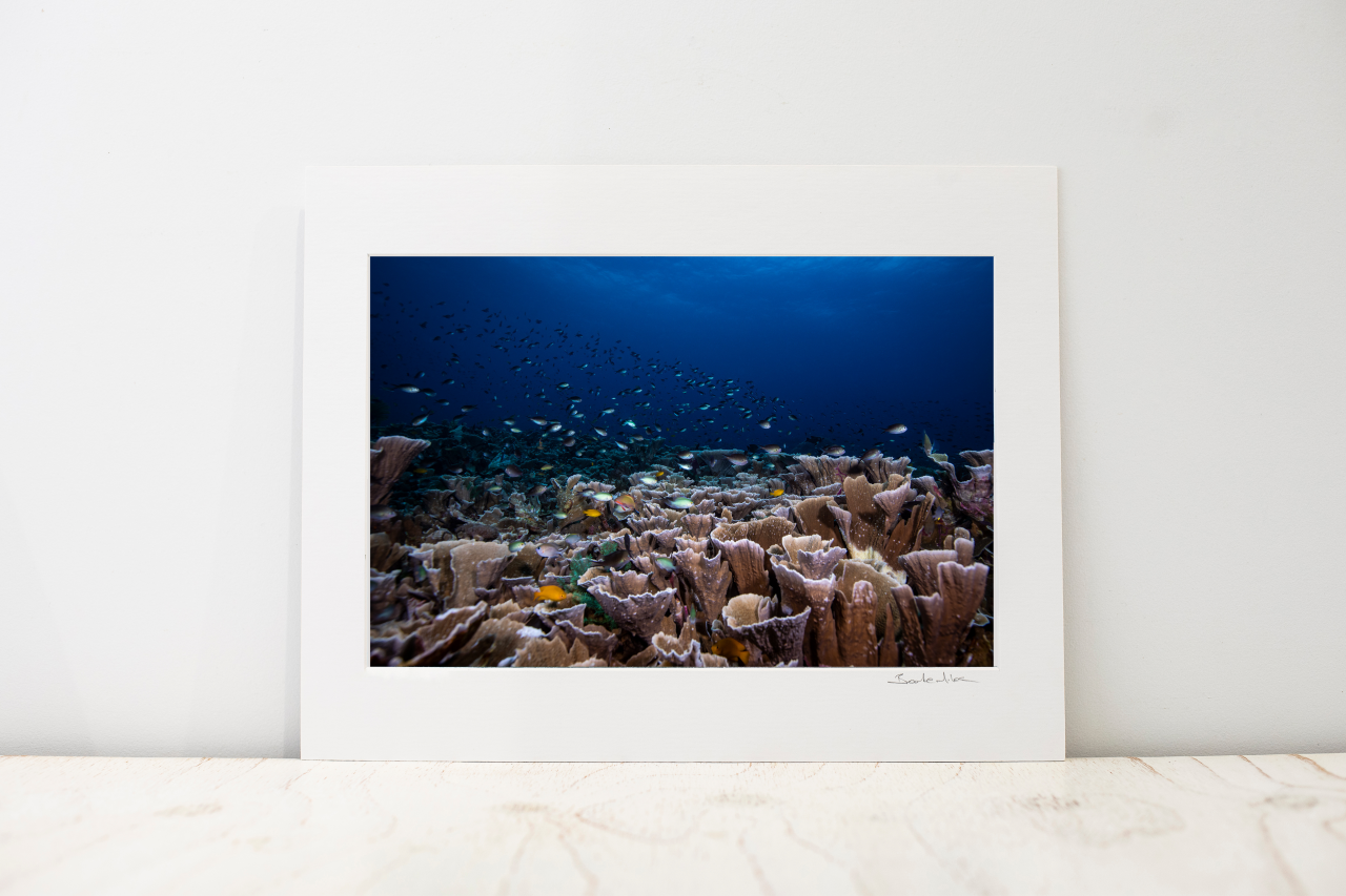 Photo Mount - 'Melissa's Playground'