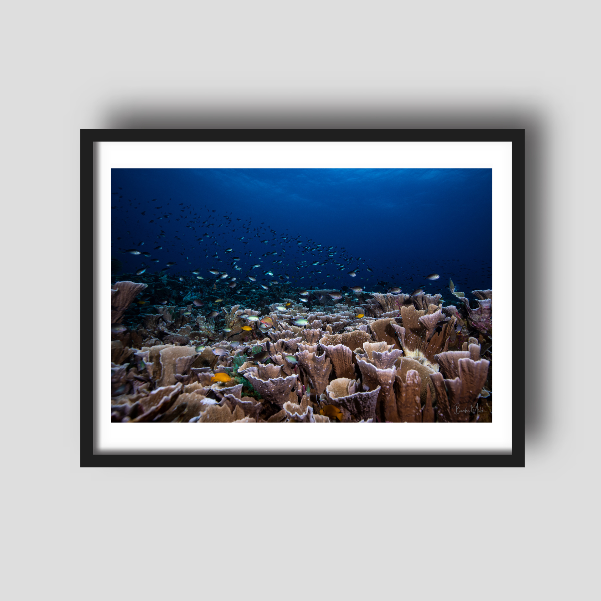 Melissa's Playground - Underwater Reef Print