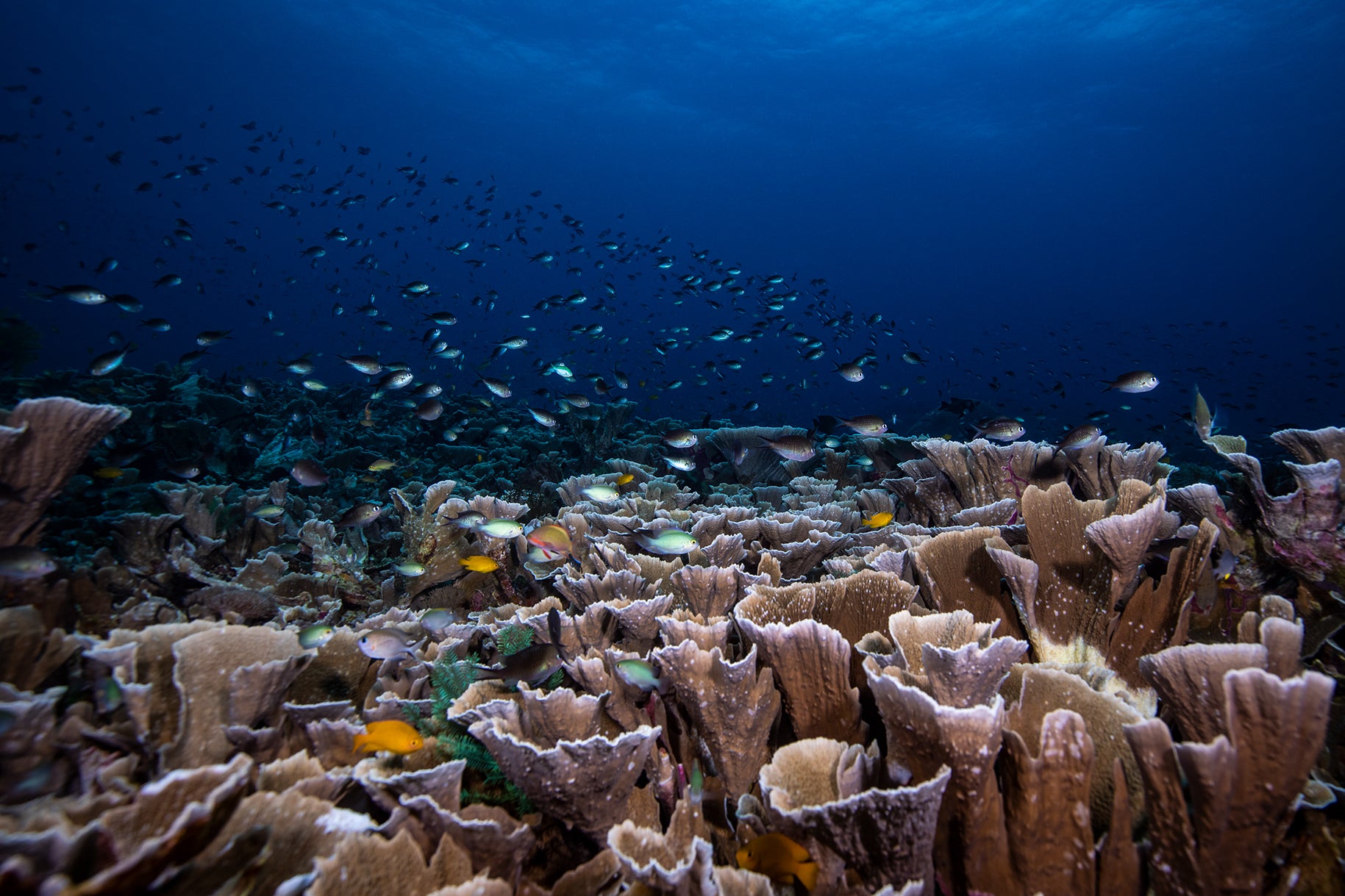 Photo Mount - 'Melissa's Playground'