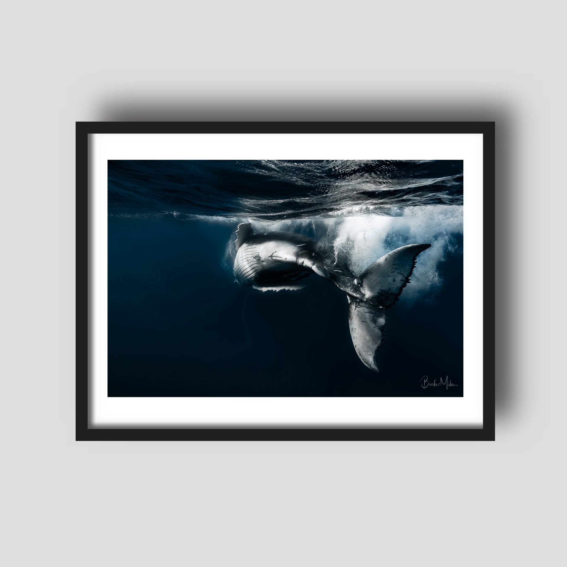 Midnight Dancer - Humpback Whale Print