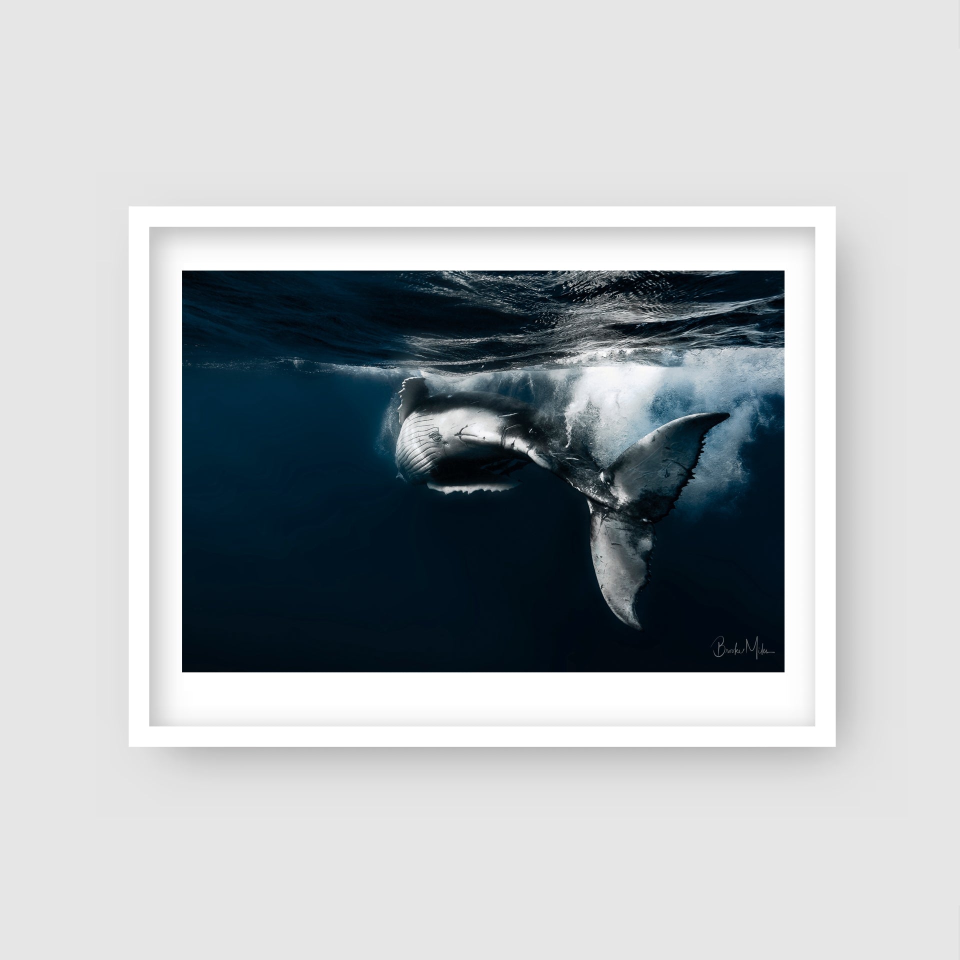 Midnight Dancer - Humpback Whale Print