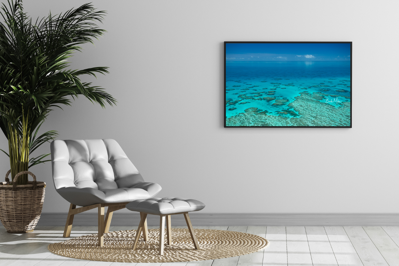 Glass - Great Barrier Reef Print