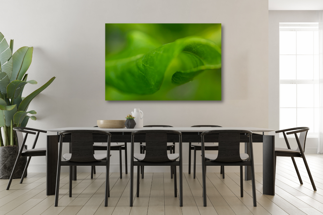 Inside the Leaf - Nature Print