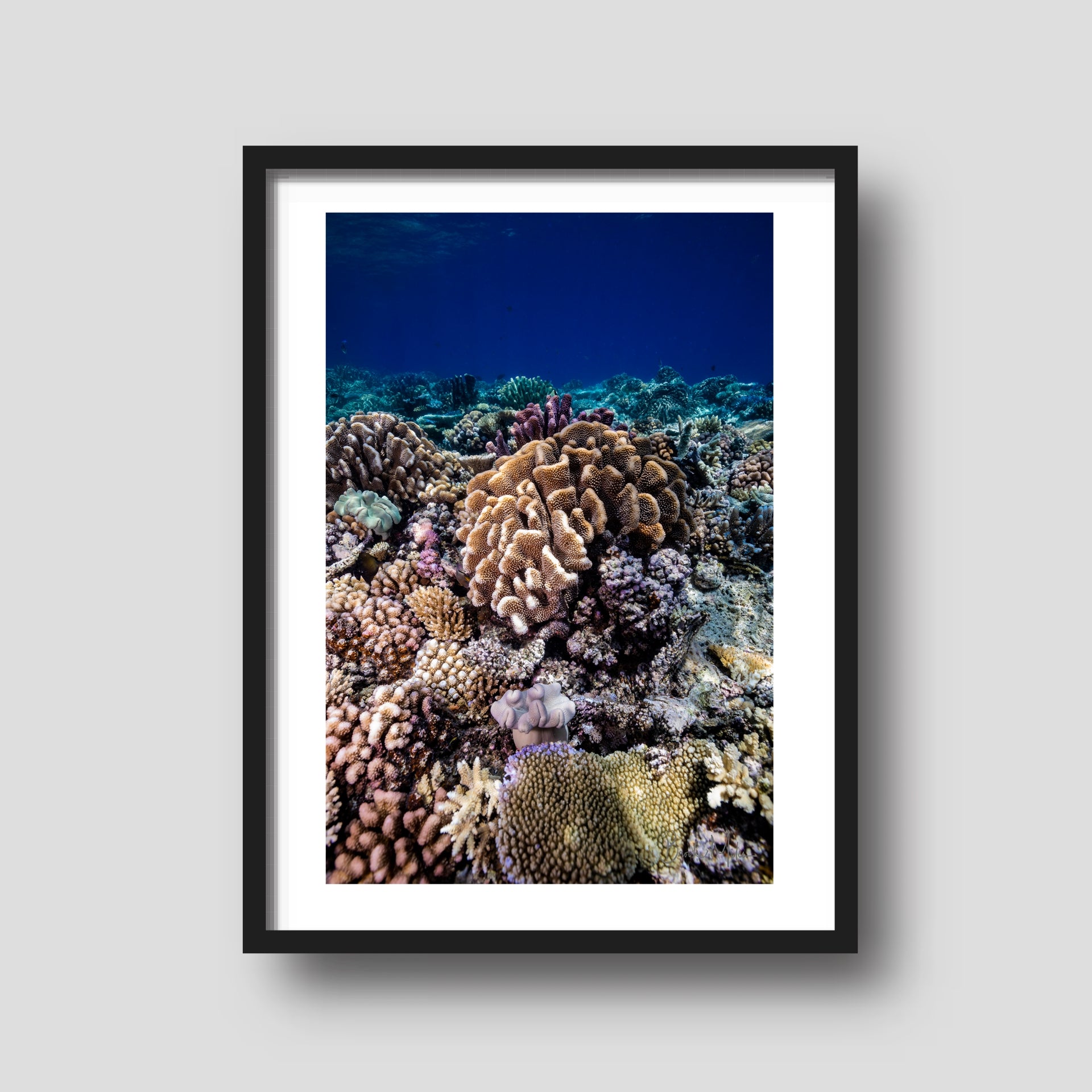 Neon Glow - Underwater Reef Print