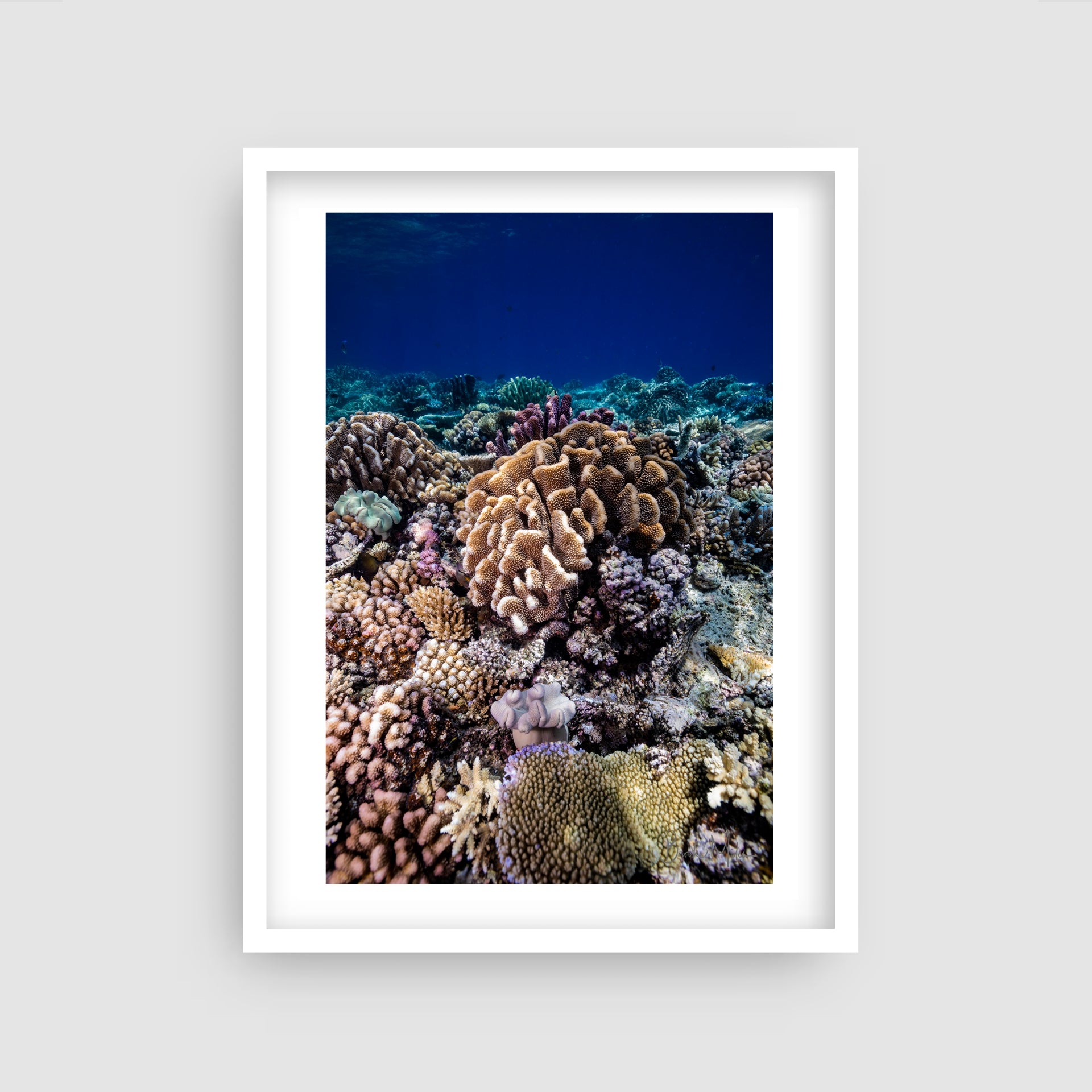 Neon Glow - Underwater Reef Print