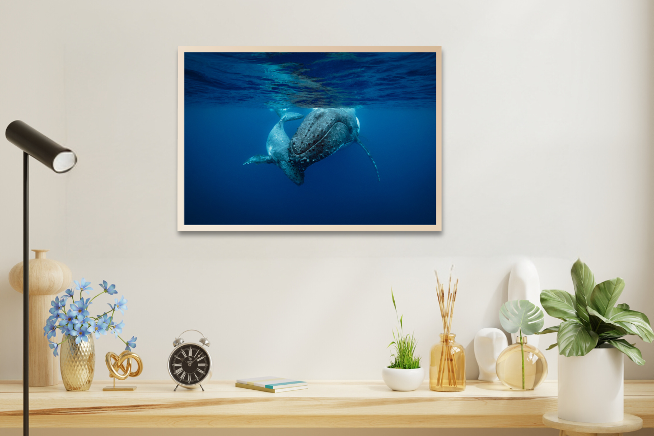 Never Far - Humpback Whale Print