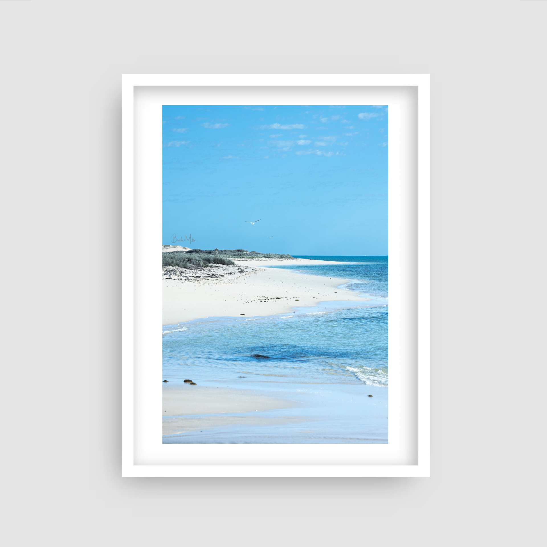 Ningaloo Pastels - Nature Coastal Print