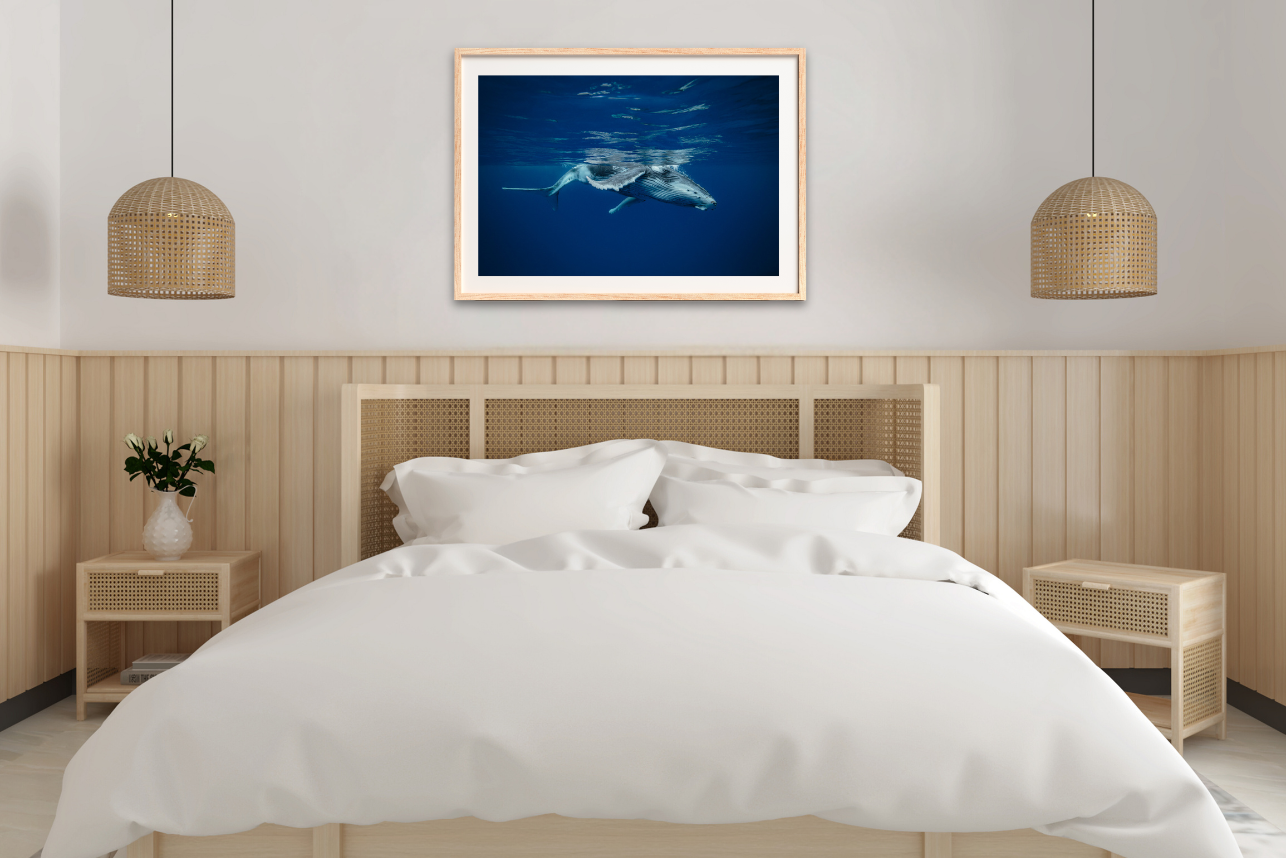 Nipper - Humpback Whale Print