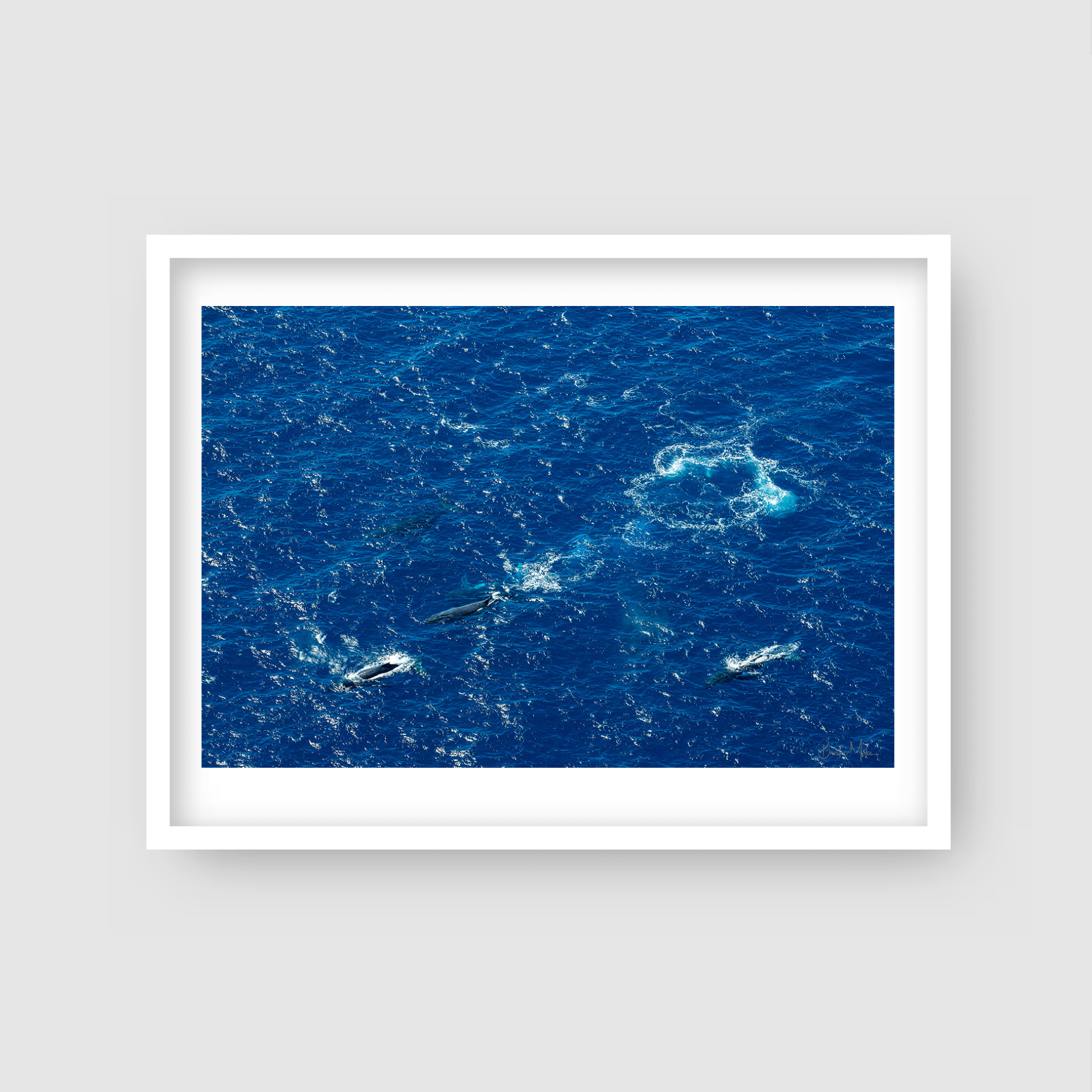 Open Heat - Ocean Print