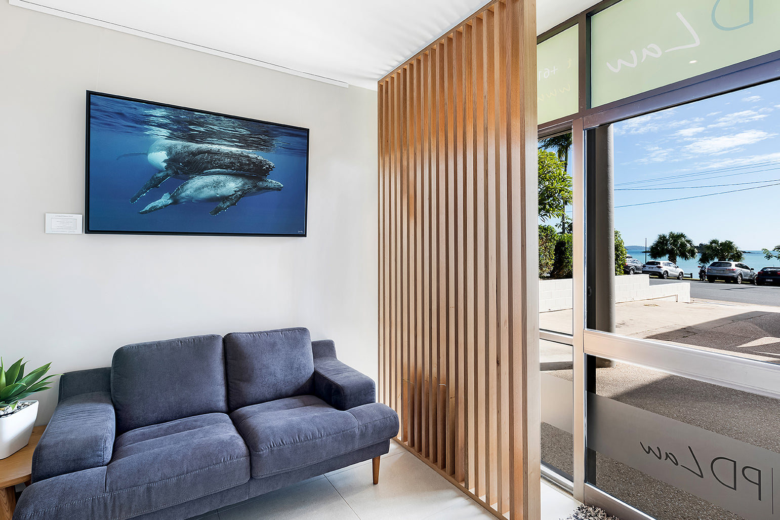 whale photo in law office