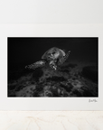 Photo Mount - Mono Mosaic