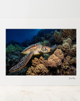 Photo Mount - 'Prospector'