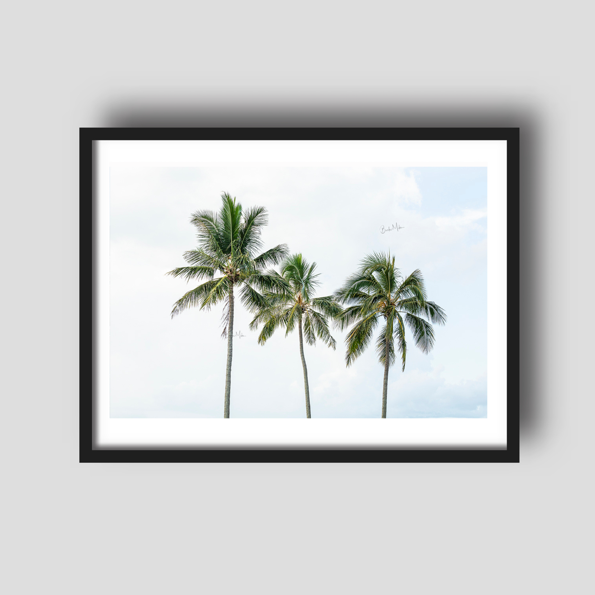 Palm Tree Trio - Palm Tree Print