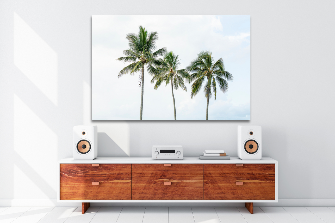 Palm Tree Trio - Palm Tree Print