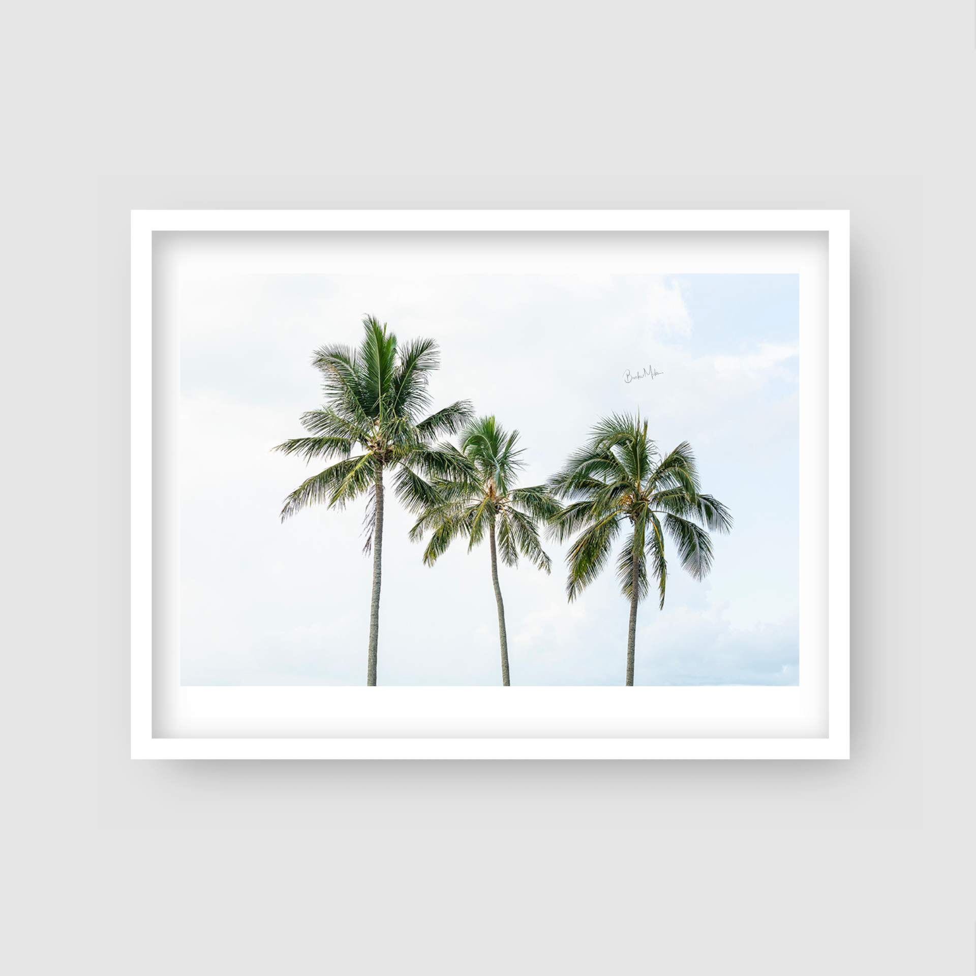 Palm Tree Trio - Palm Tree Print