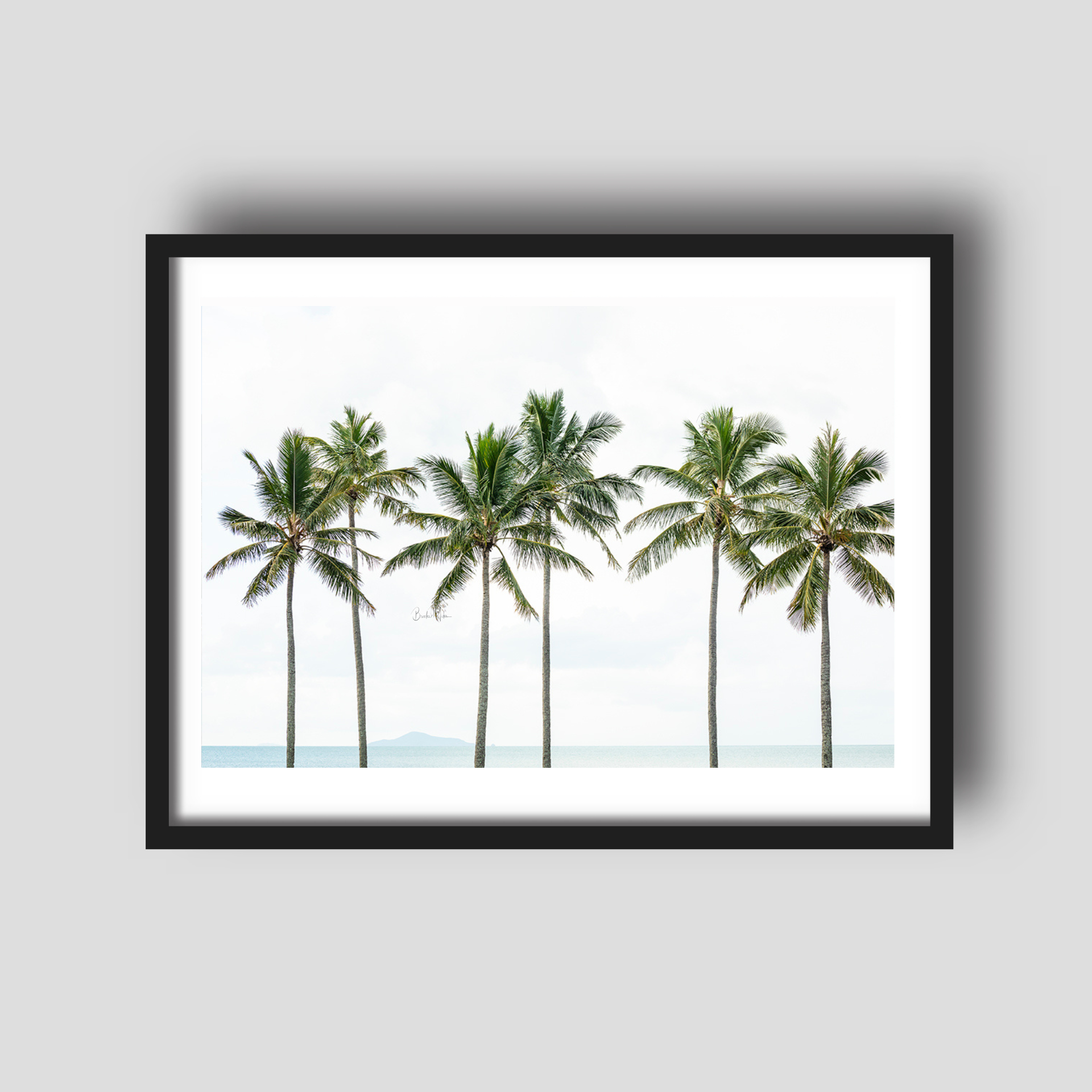 Palm Tree Whispers - Palm Tree Print