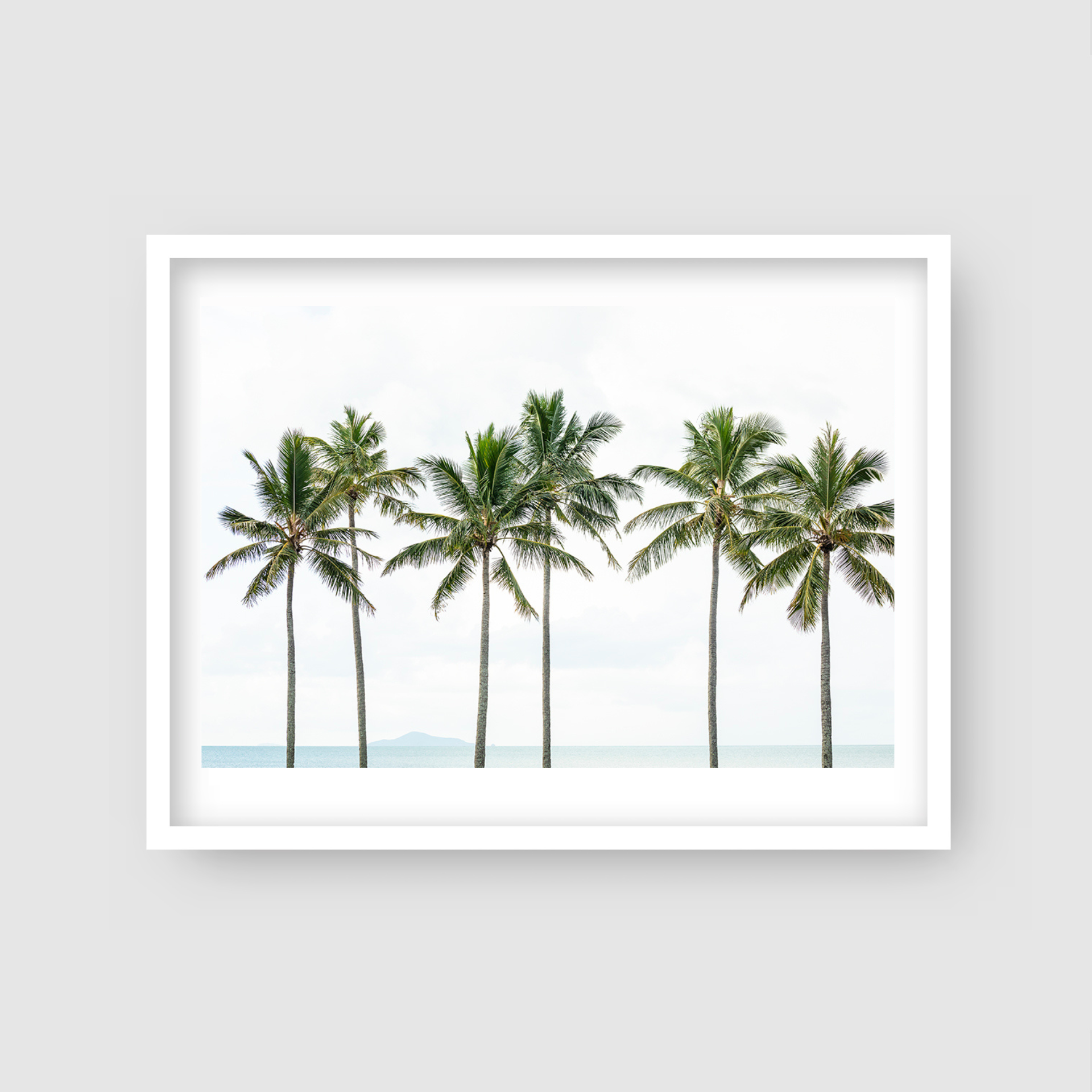 Palm Tree Whispers - Palm Tree Print