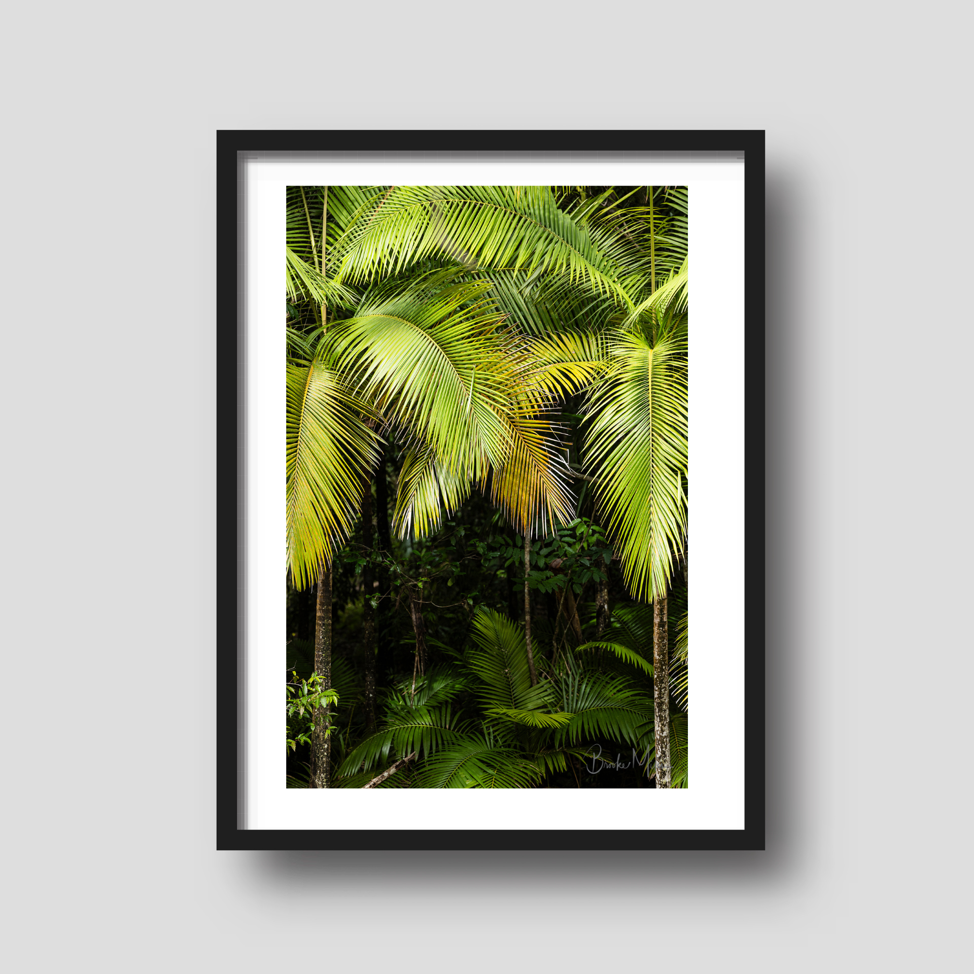 Palms Entrance - Jungle Print